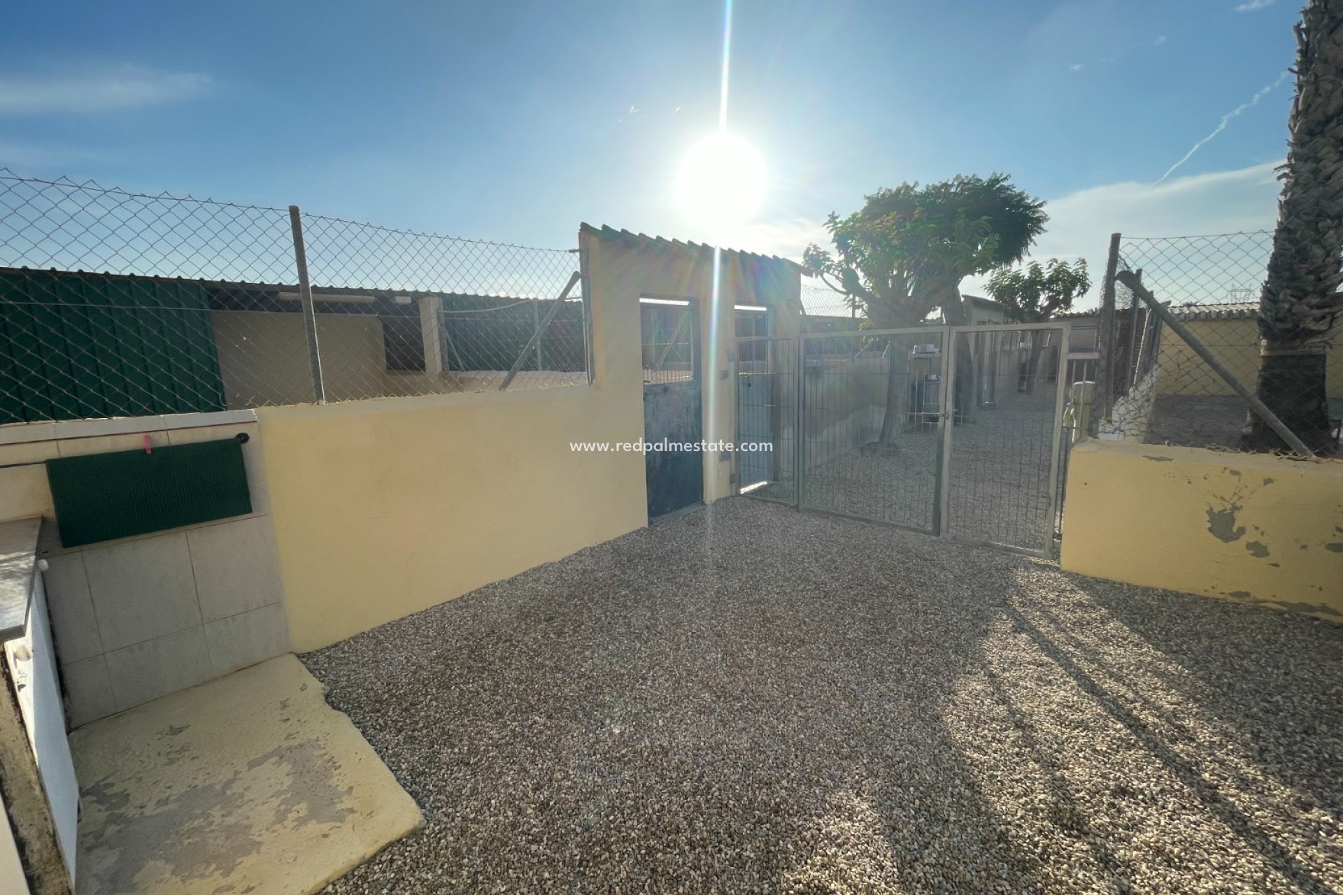 Reventa - Finca / Propiedad de Campo -
Elche - Costa Blanca