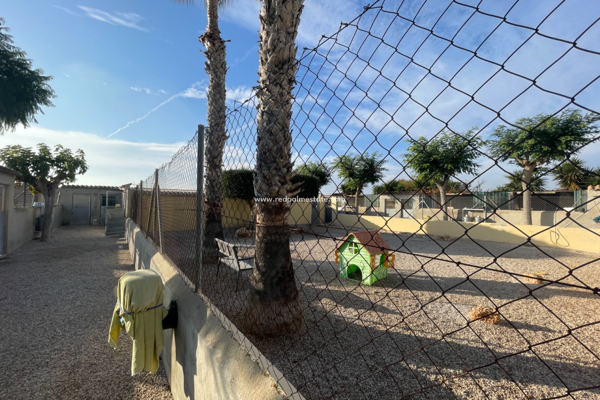 Reventa - Finca / Propiedad de Campo -
Elche - Costa Blanca