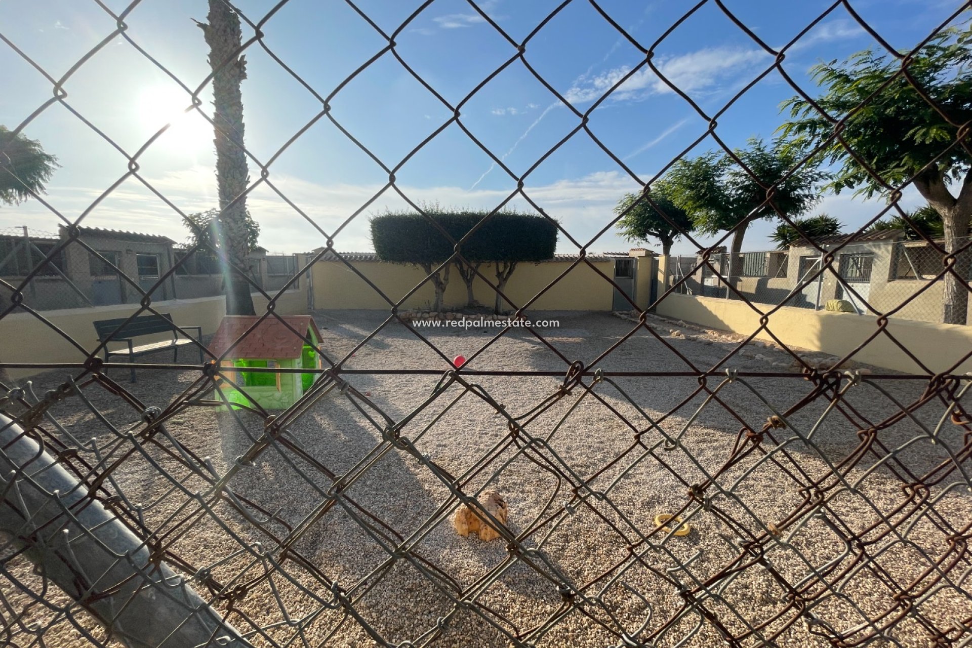 Reventa - Finca / Propiedad de Campo -
Elche - Costa Blanca