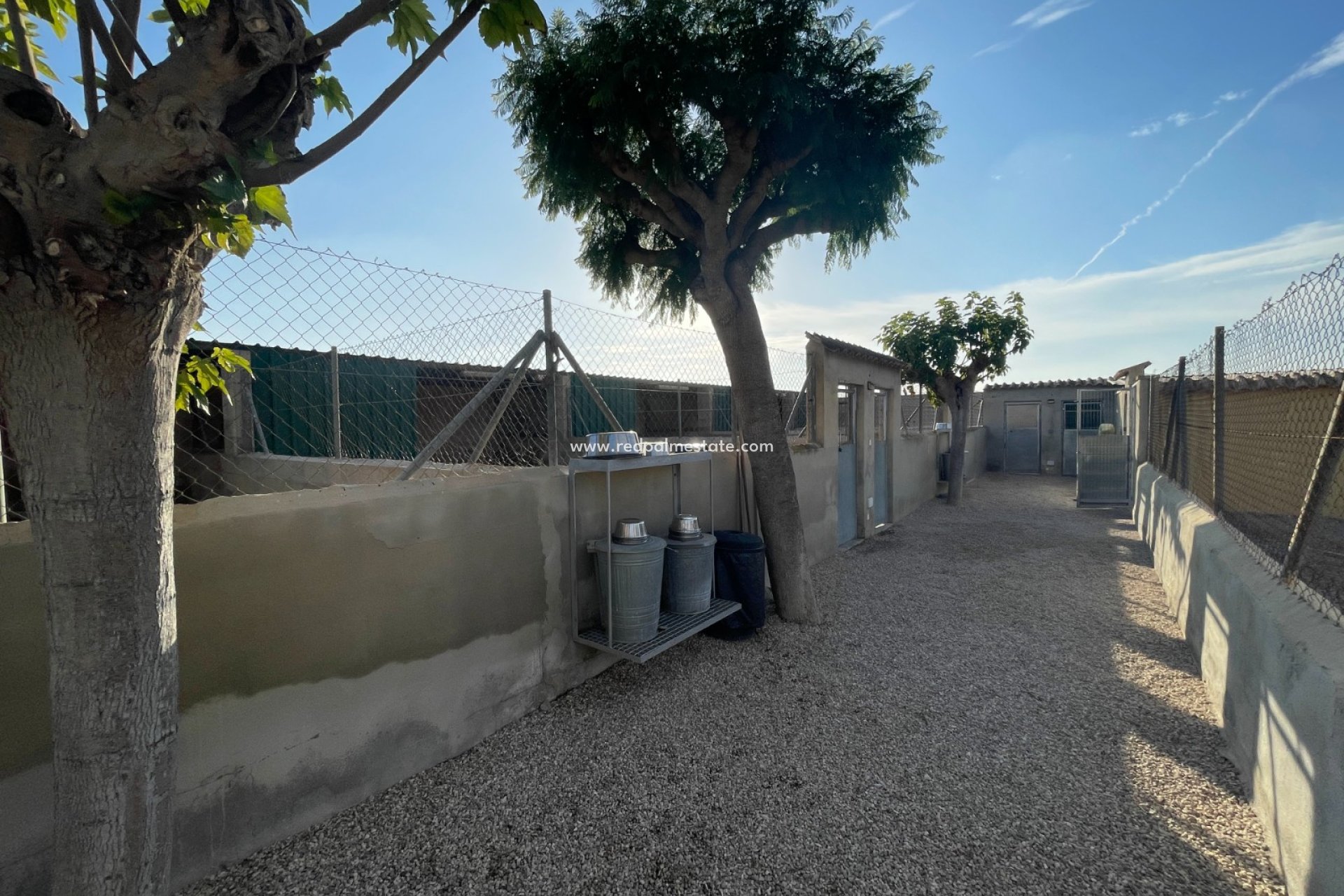 Reventa - Finca / Propiedad de Campo -
Elche - Costa Blanca