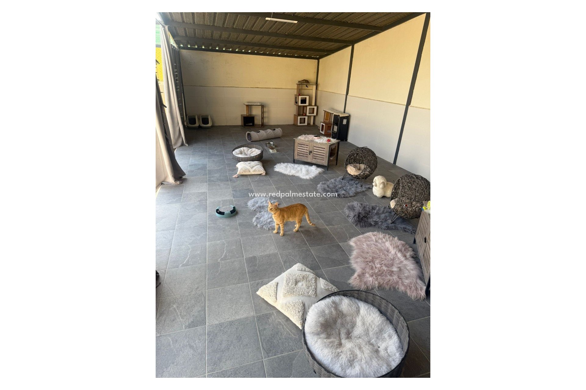 Reventa - Finca / Propiedad de Campo -
Elche - Costa Blanca