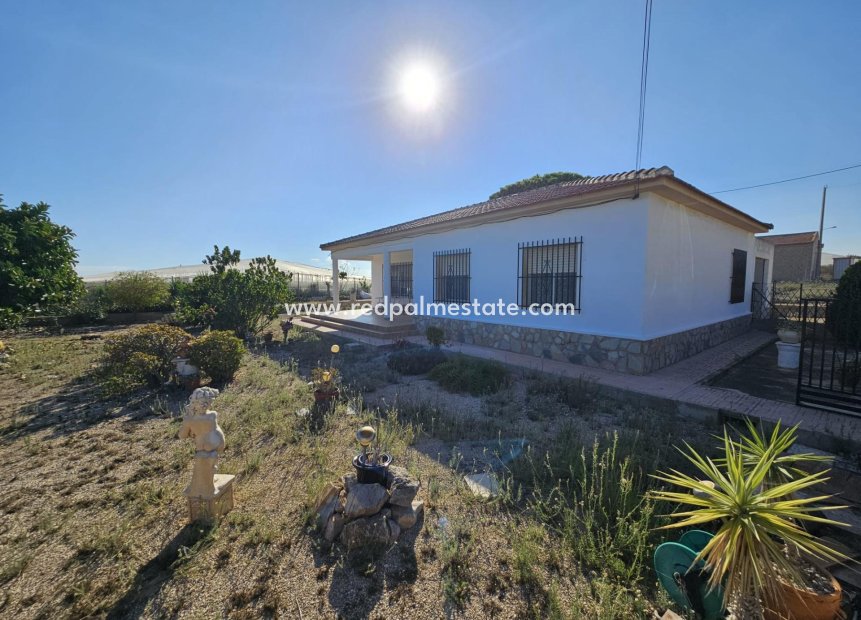 Reventa - Finca / Propiedad de Campo -
Guardamar del Segura - Buenavista
