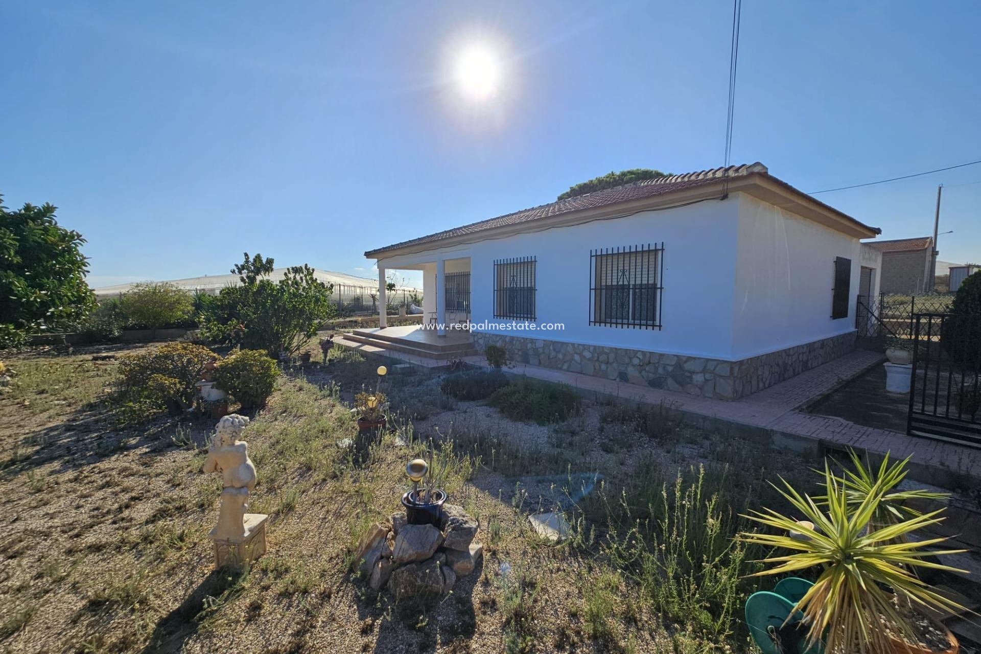 Reventa - Finca / Propiedad de Campo -
Guardamar del Segura - Buenavista
