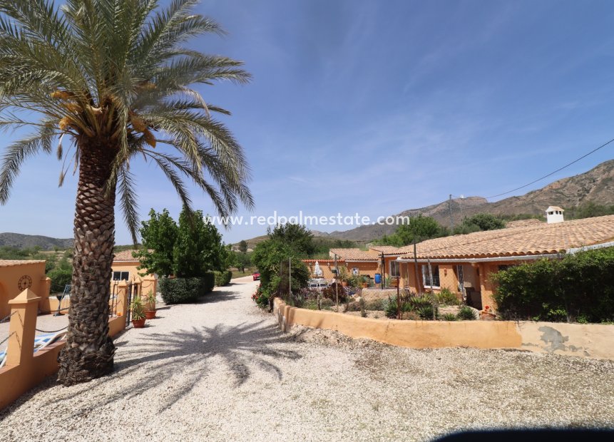 Reventa - Finca / Propiedad de Campo -
Hondón de las Nieves - Inland