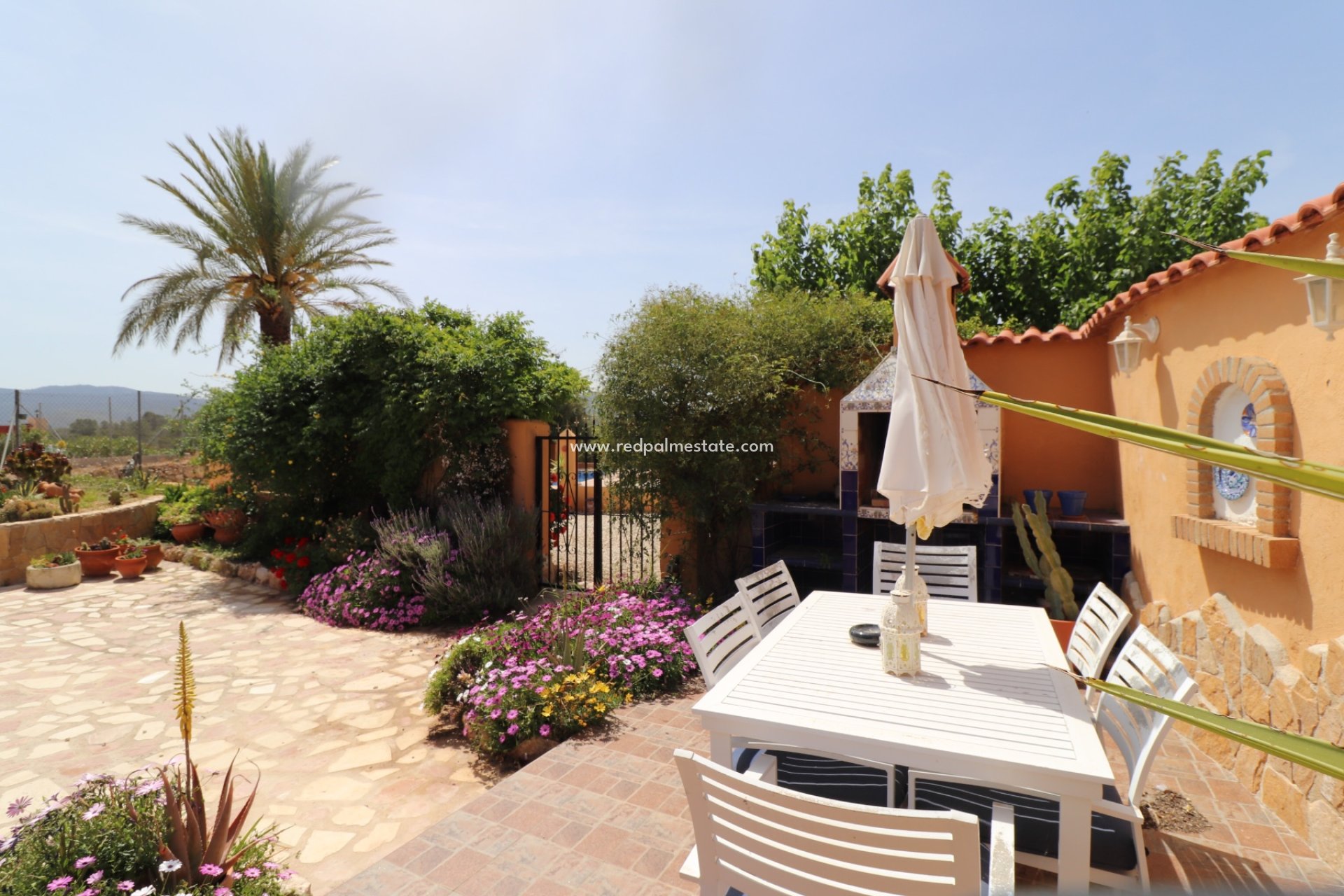 Reventa - Finca / Propiedad de Campo -
Hondón de las Nieves - Inland