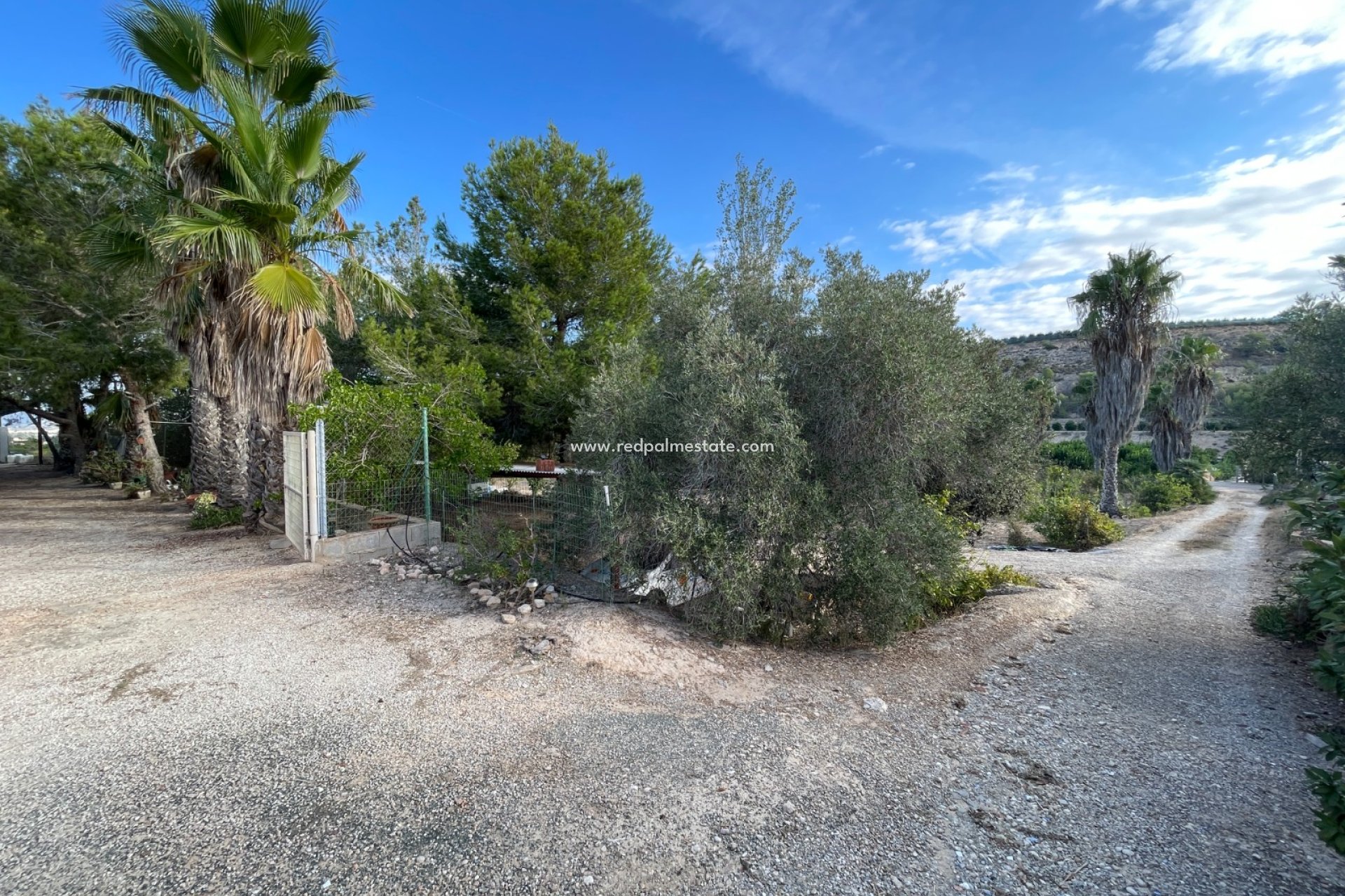 Reventa - Finca / Propiedad de Campo -
Jacarilla - Inland