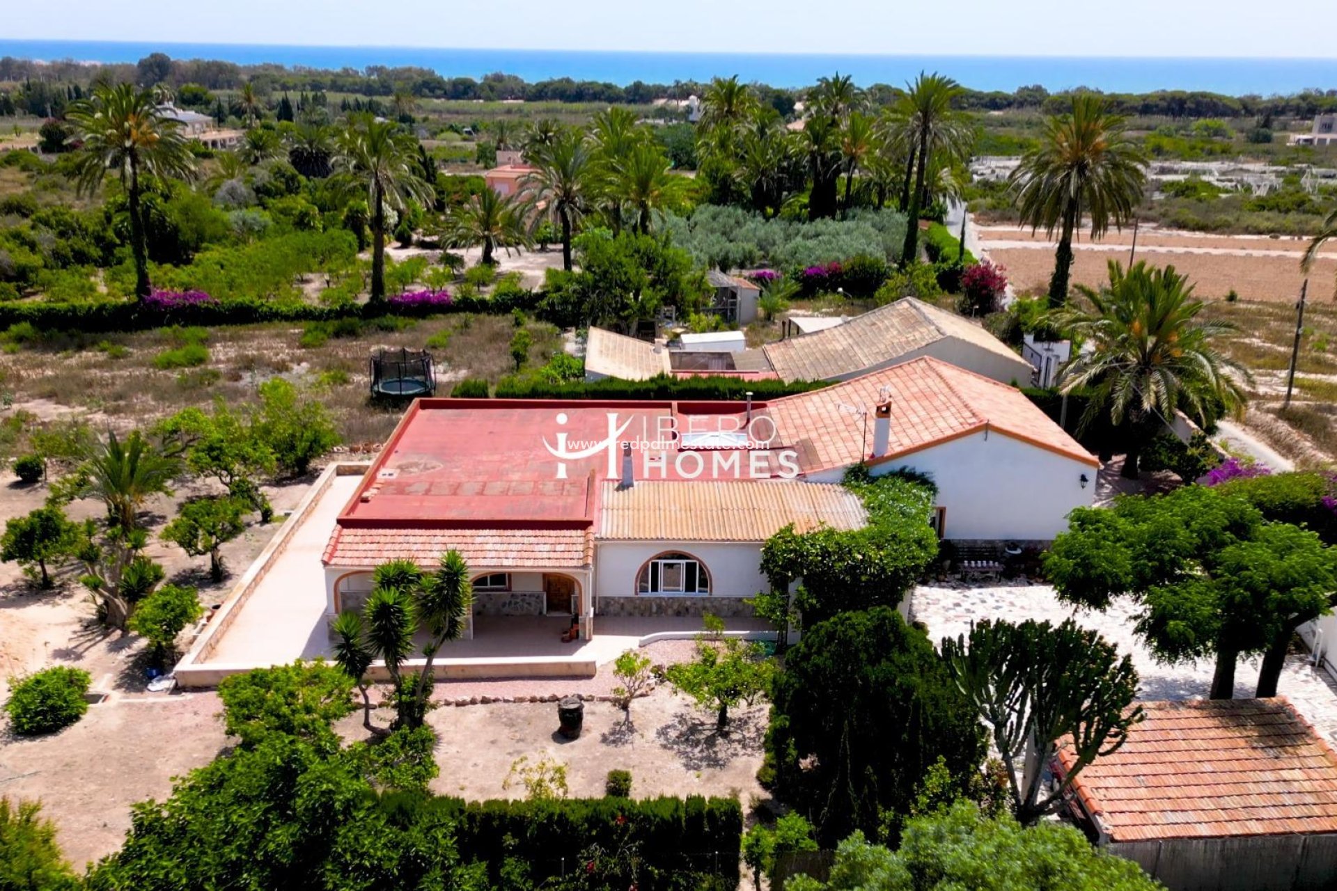 Reventa - Finca / Propiedad de Campo -
La Marina