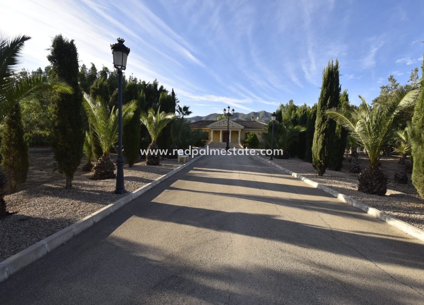 Reventa - Finca / Propiedad de Campo -
La Matanza - Inland