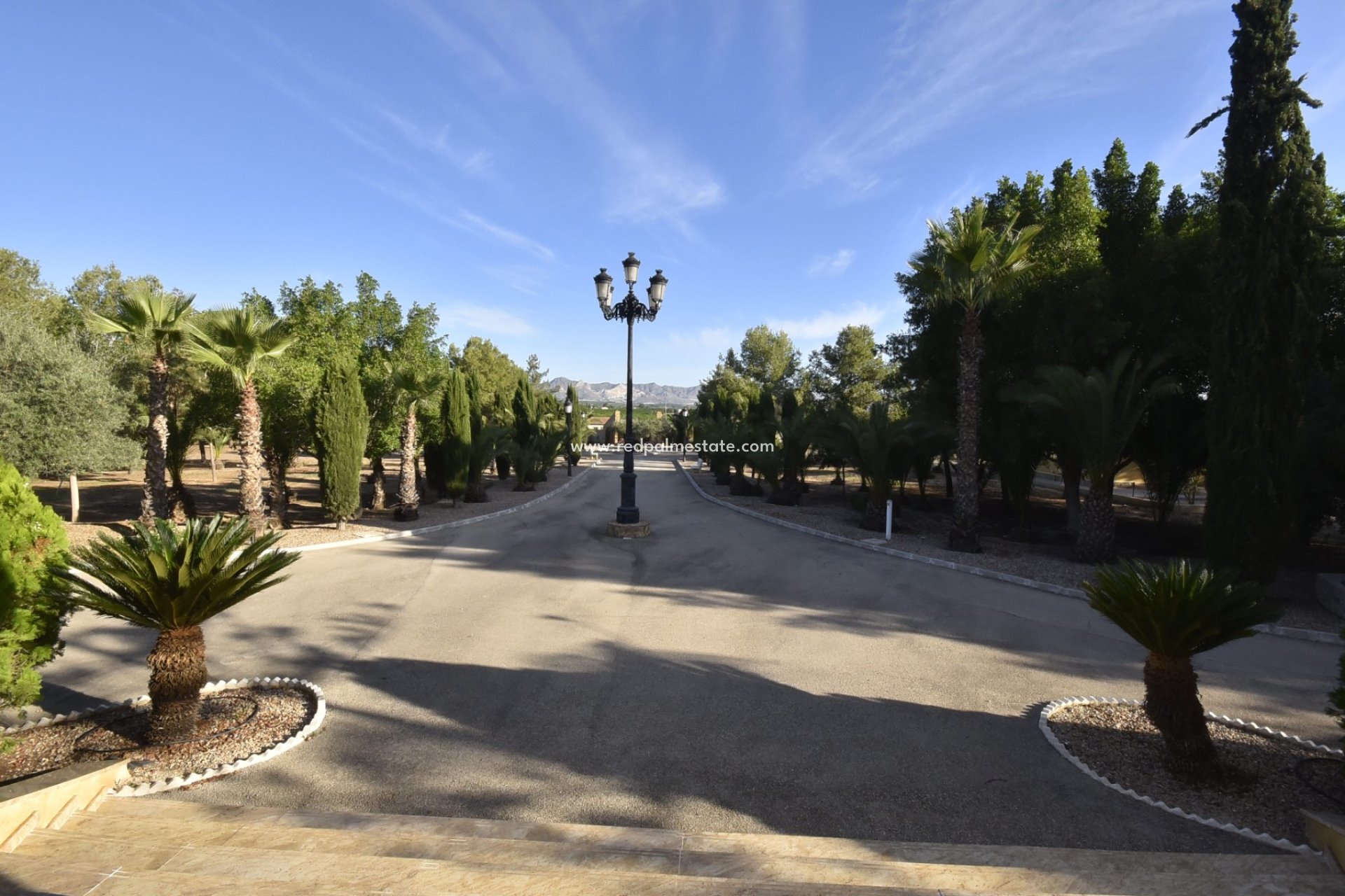 Reventa - Finca / Propiedad de Campo -
La Matanza - Inland