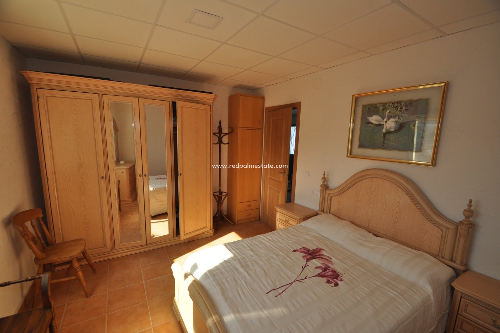 Reventa - Finca / Propiedad de Campo -
Monóvar/Monóver - Inland