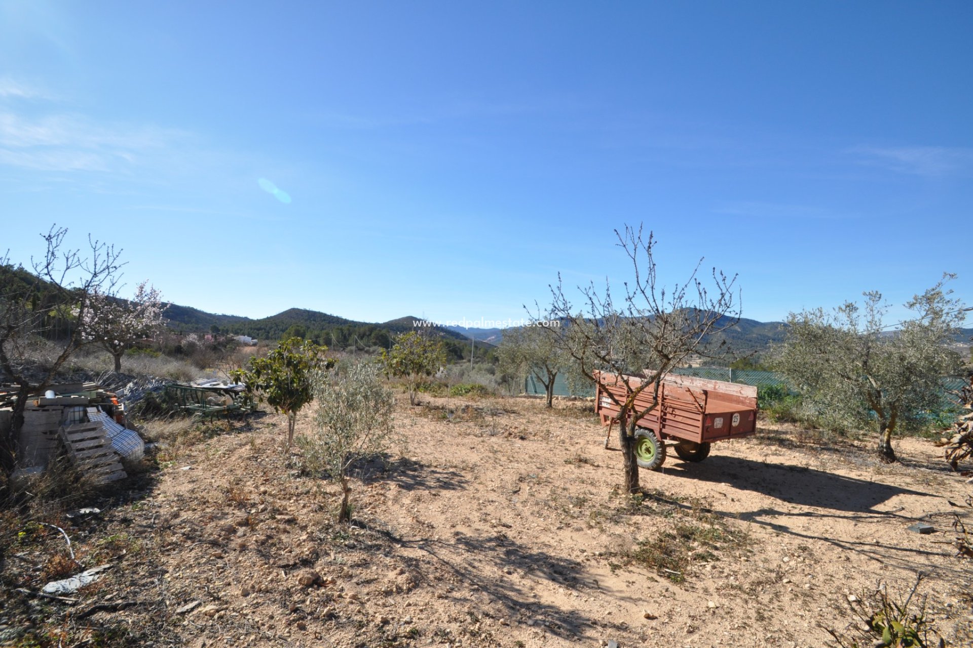 Reventa - Finca / Propiedad de Campo -
Monóvar/Monóver - Inland