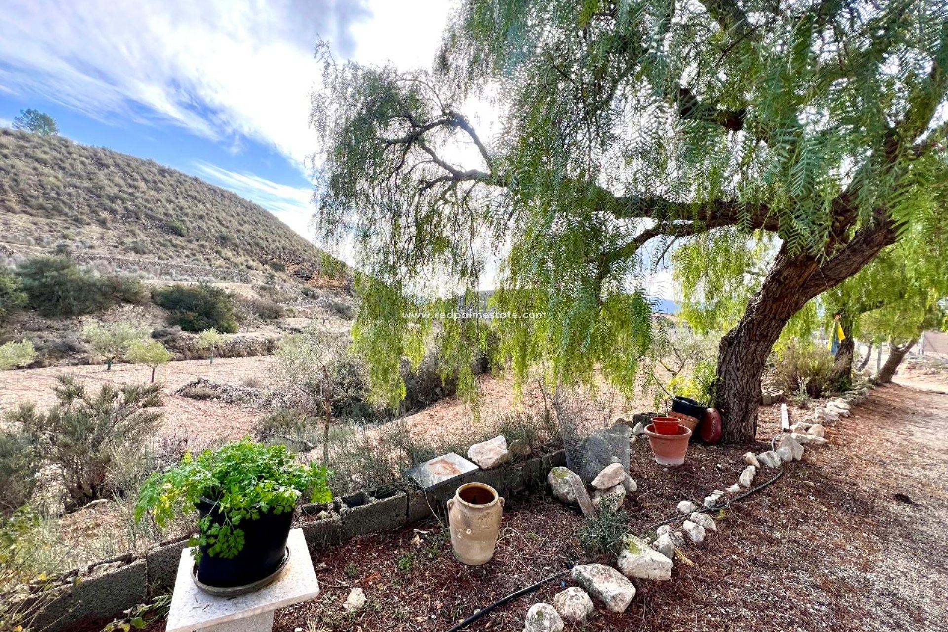 Reventa - Finca / Propiedad de Campo -
Monóvar/Monóver - Inland