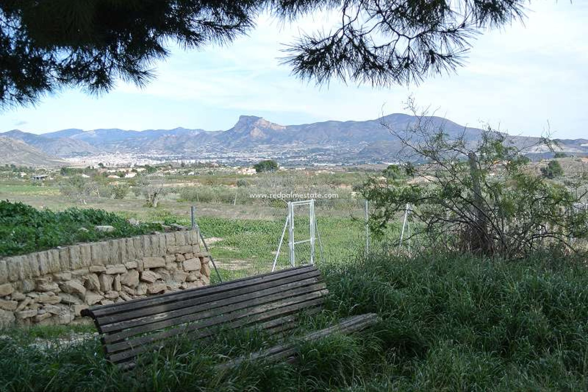 Reventa - Finca / Propiedad de Campo -
Monóvar/Monóver - Inland