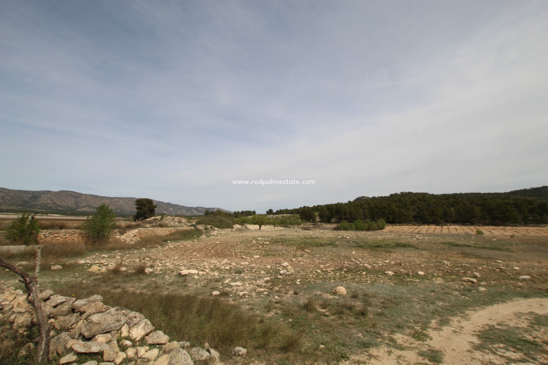 Reventa - Finca / Propiedad de Campo -
Monóvar/Monóver - Inland