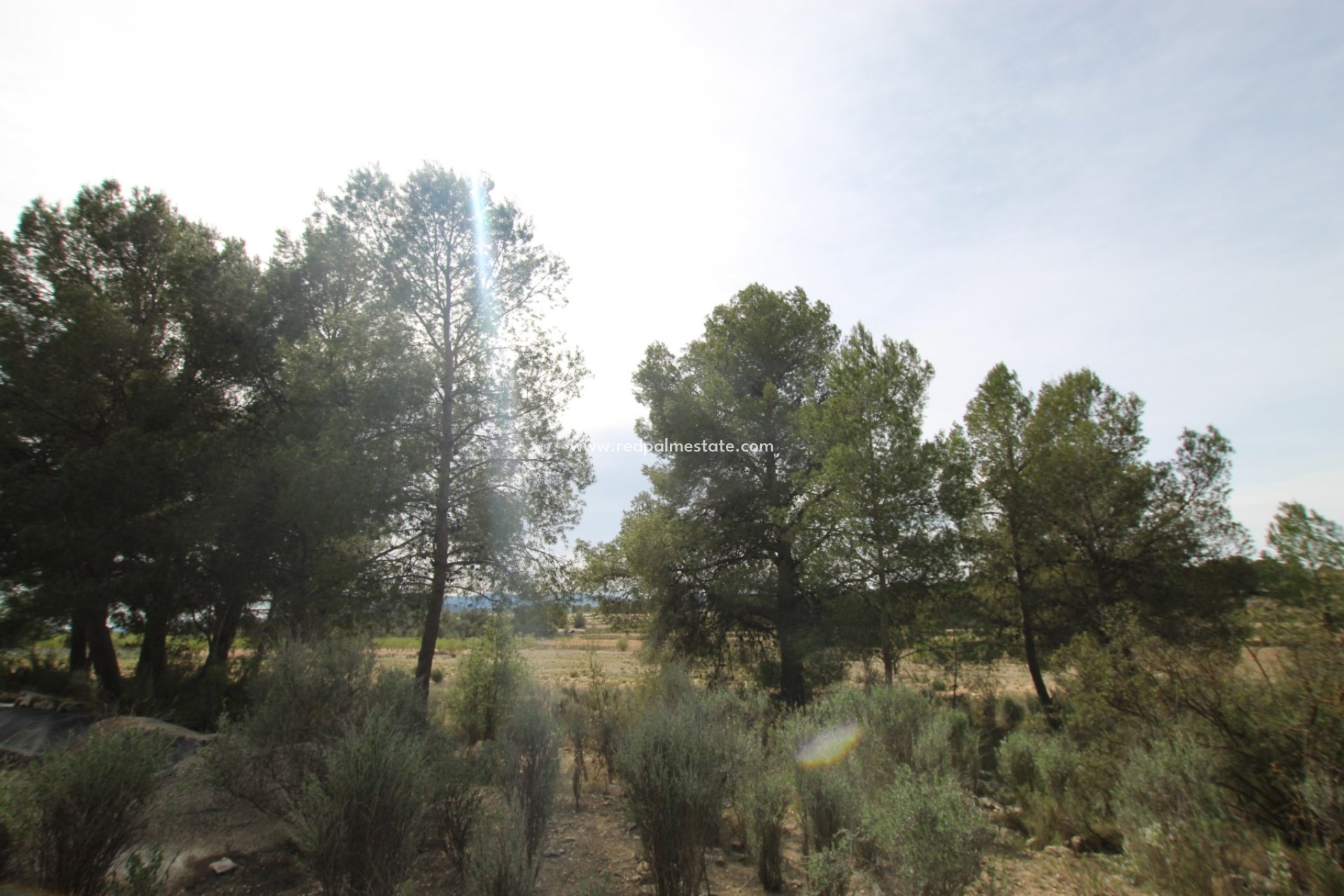 Reventa - Finca / Propiedad de Campo -
Monóvar/Monóver - Inland