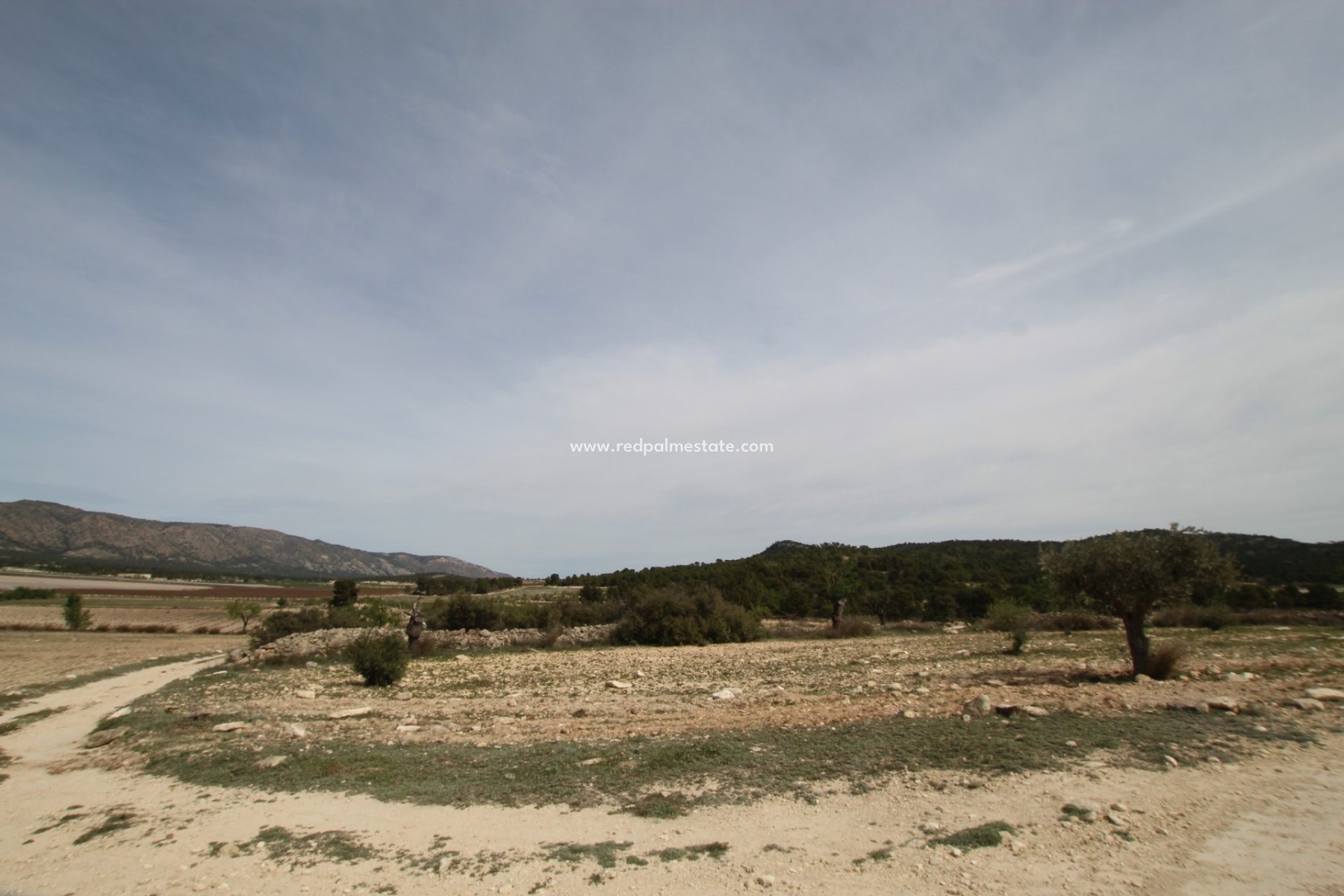 Reventa - Finca / Propiedad de Campo -
Monóvar/Monóver - Inland