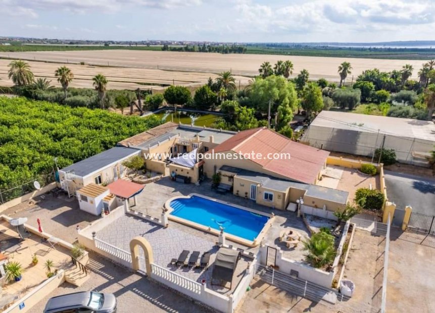 Reventa - Finca / Propiedad de Campo -
Montesinos - Los Montesinos