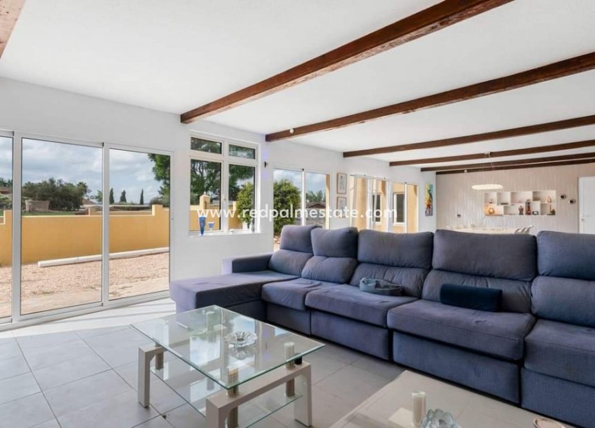 Reventa - Finca / Propiedad de Campo -
Montesinos - Los Montesinos
