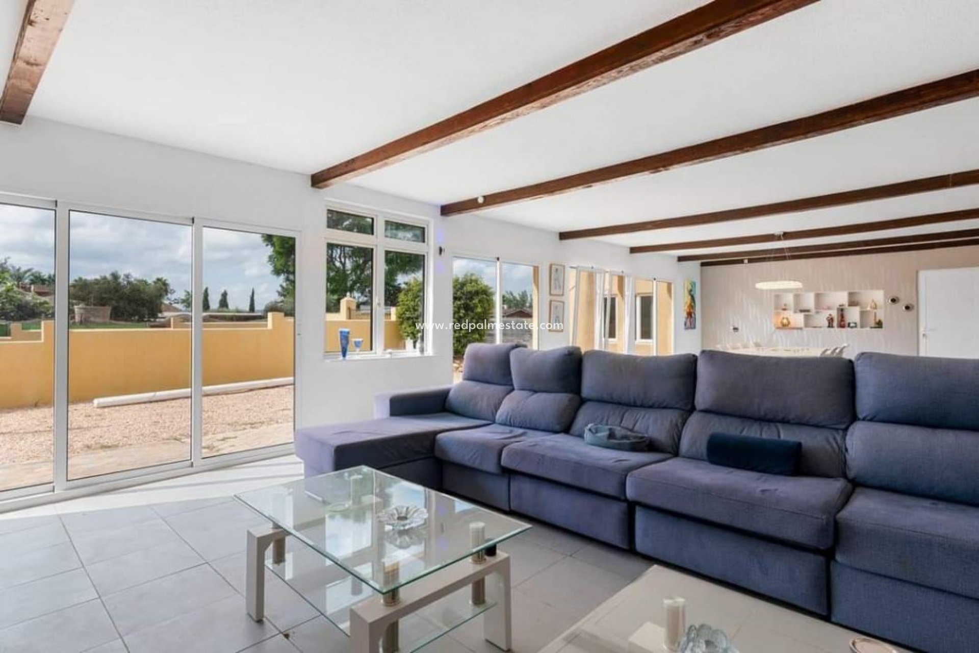 Reventa - Finca / Propiedad de Campo -
Montesinos - Los Montesinos