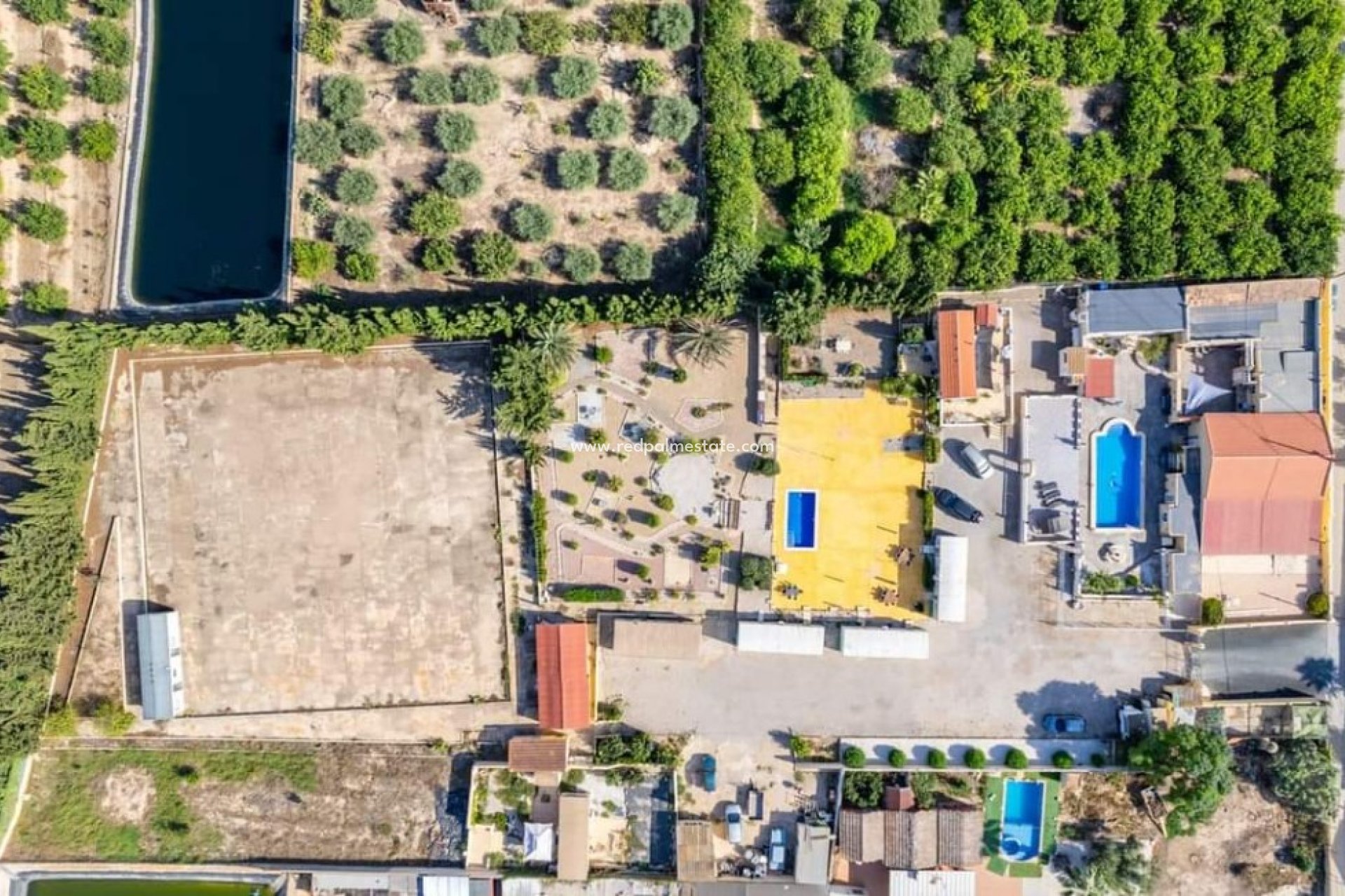 Reventa - Finca / Propiedad de Campo -
Montesinos - Los Montesinos
