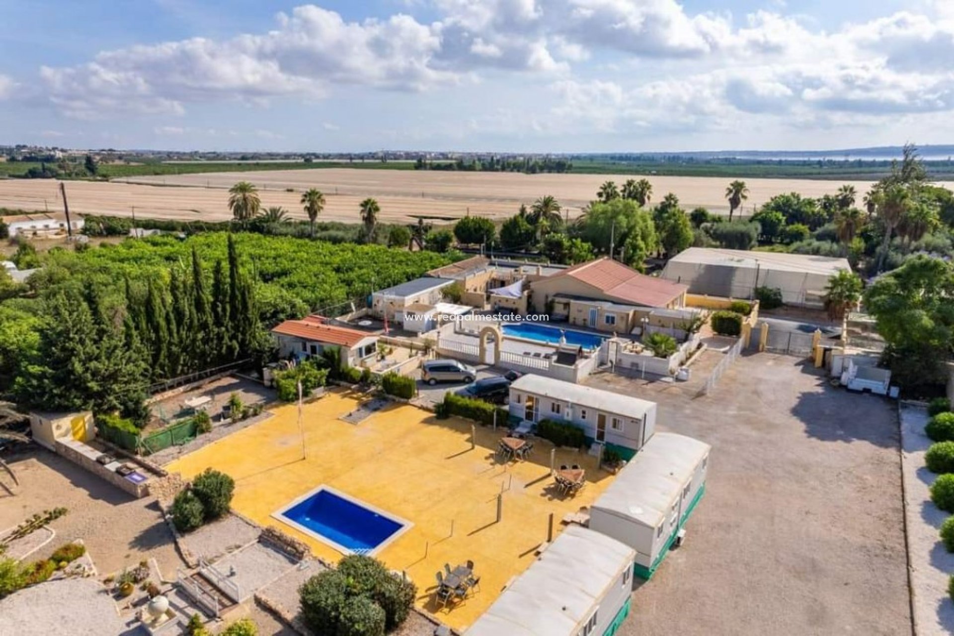 Reventa - Finca / Propiedad de Campo -
Montesinos - Los Montesinos