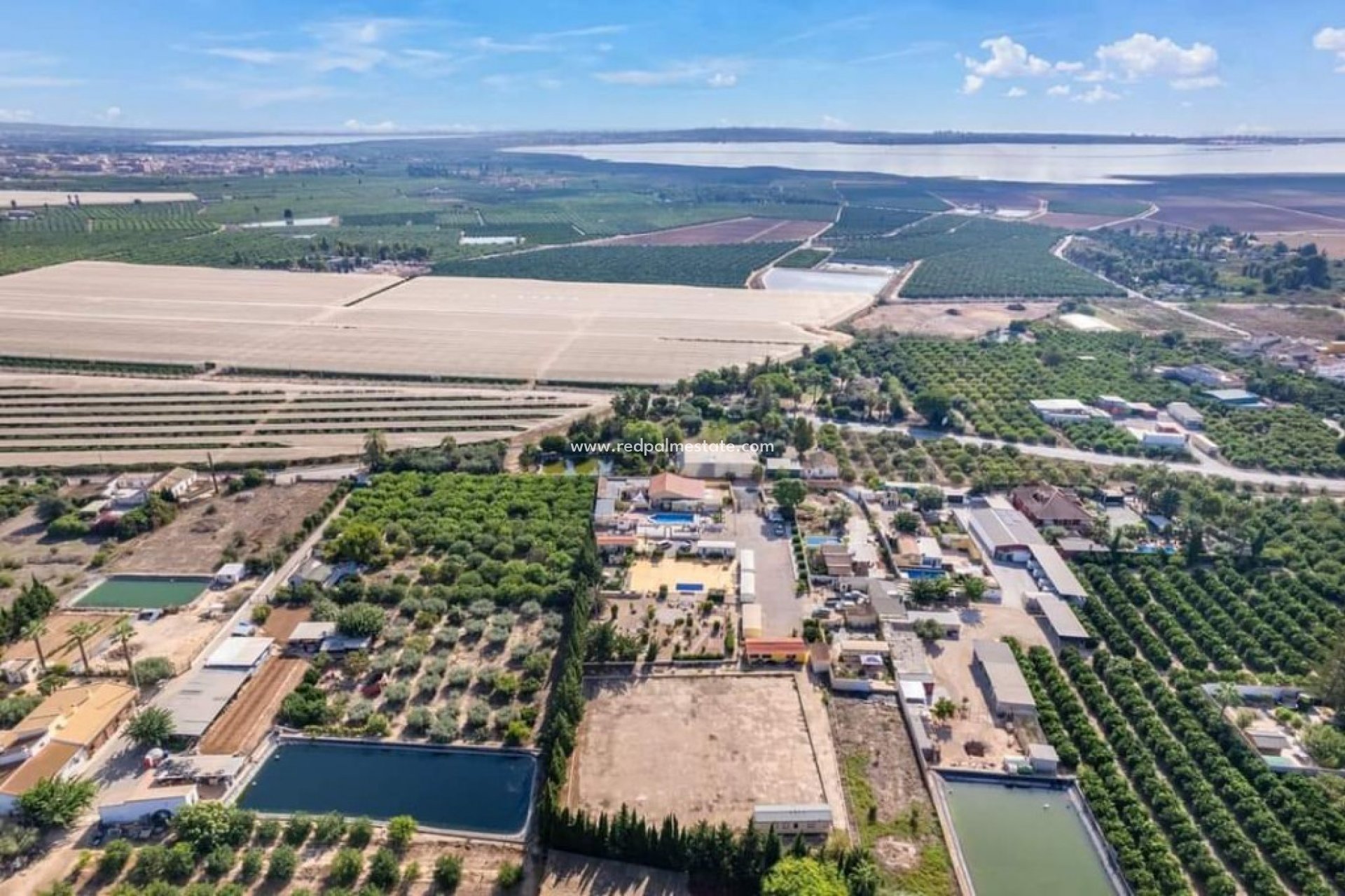Reventa - Finca / Propiedad de Campo -
Montesinos - Los Montesinos