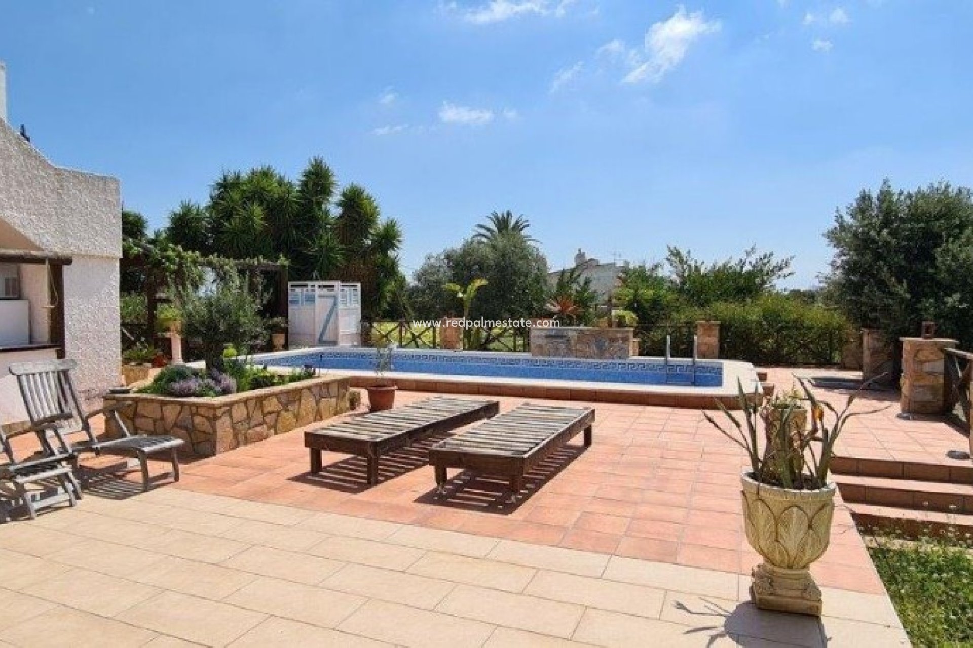 Reventa - Finca / Propiedad de Campo -
Montesinos - Los Montesinos