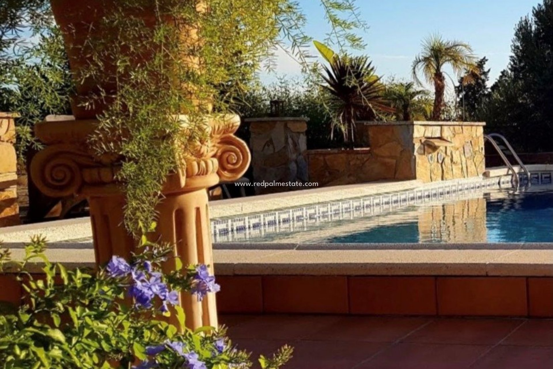 Reventa - Finca / Propiedad de Campo -
Montesinos - Los Montesinos