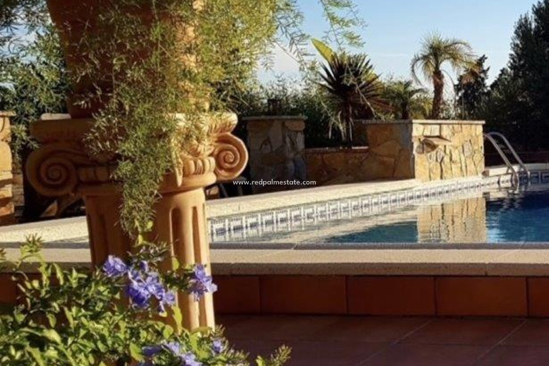 Reventa - Finca / Propiedad de Campo -
Montesinos - Los Montesinos