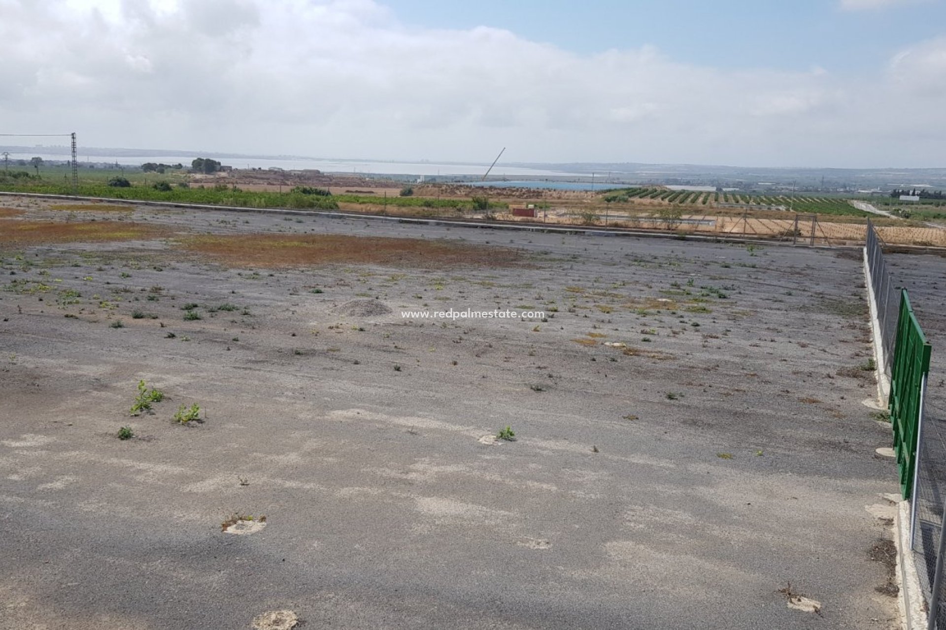 Reventa - Finca / Propiedad de Campo -
Montesinos - Los Montesinos