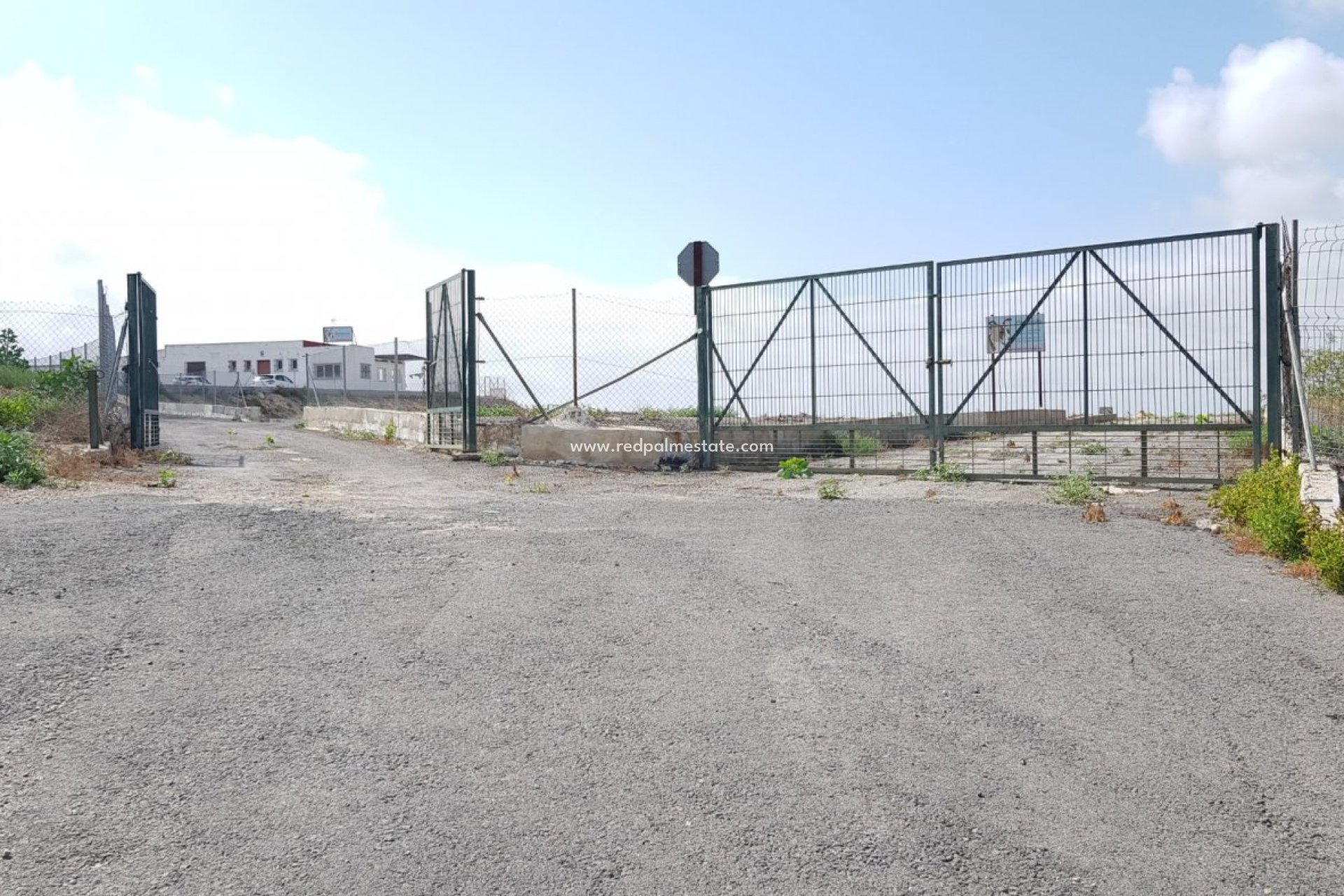 Reventa - Finca / Propiedad de Campo -
Montesinos - Los Montesinos