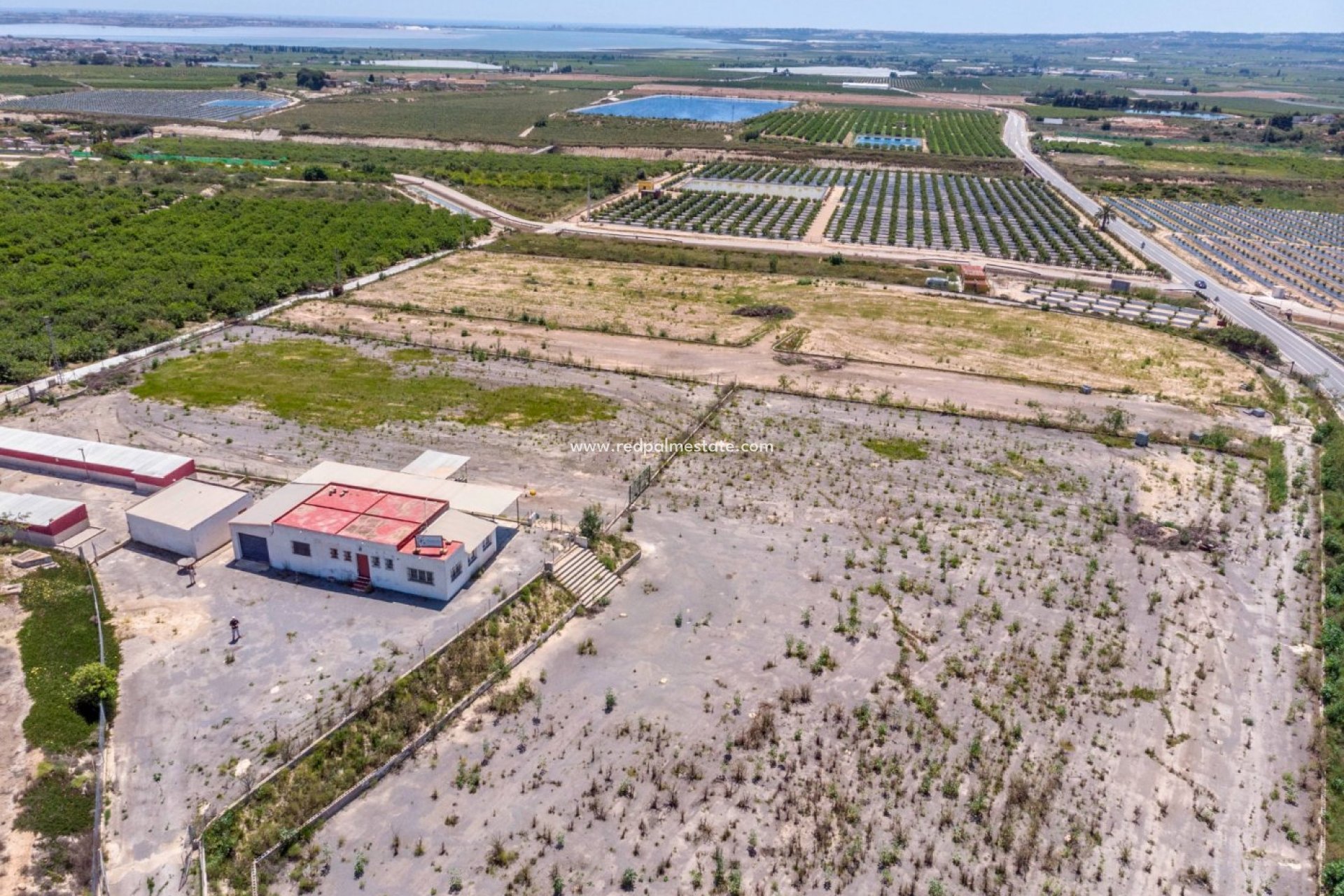 Reventa - Finca / Propiedad de Campo -
Montesinos - Los Montesinos