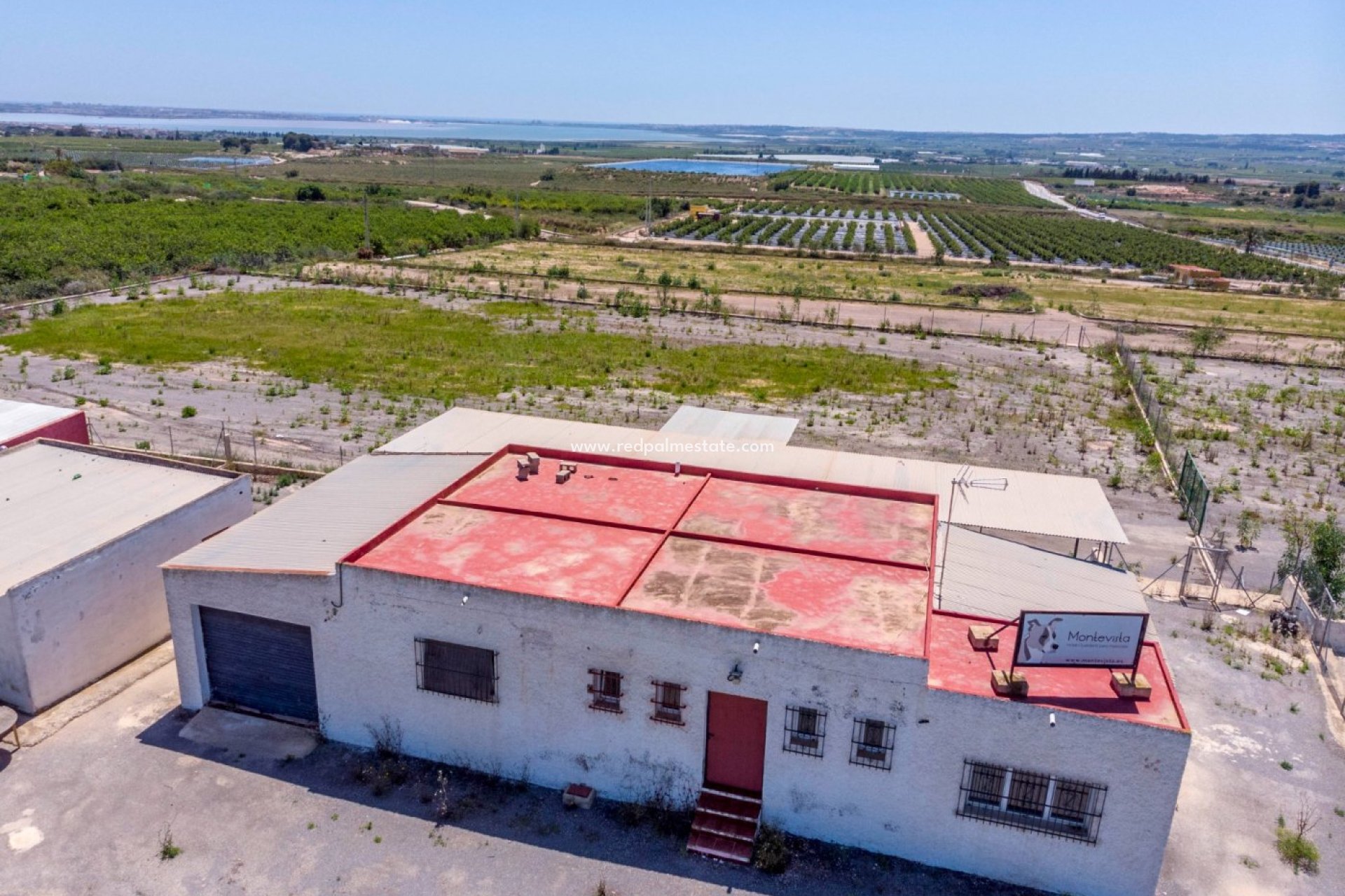 Reventa - Finca / Propiedad de Campo -
Montesinos - Los Montesinos