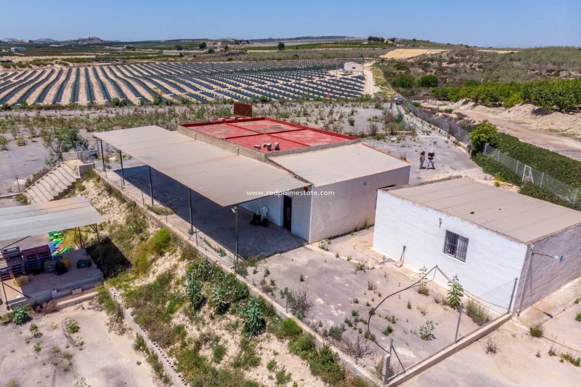 Reventa - Finca / Propiedad de Campo -
Montesinos - Los Montesinos