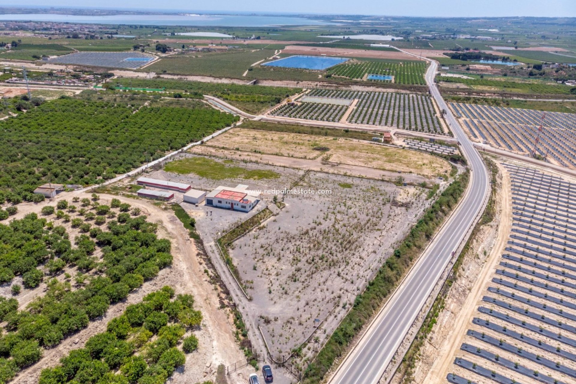 Reventa - Finca / Propiedad de Campo -
Montesinos - Los Montesinos
