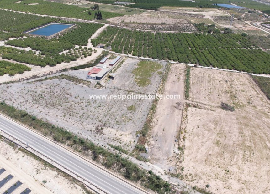 Reventa - Finca / Propiedad de Campo -
Montesinos - Los Montesinos