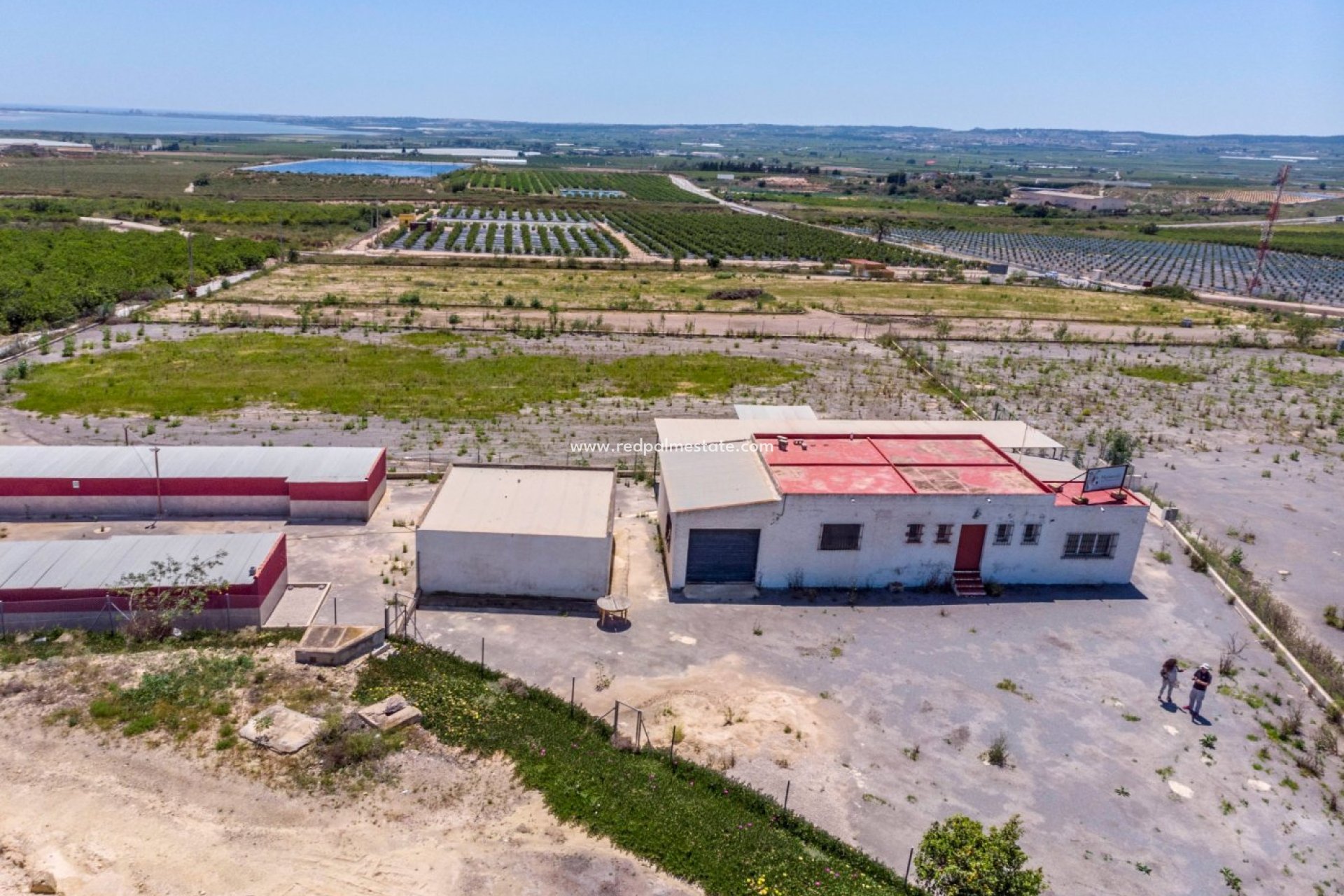 Reventa - Finca / Propiedad de Campo -
Montesinos - Los Montesinos