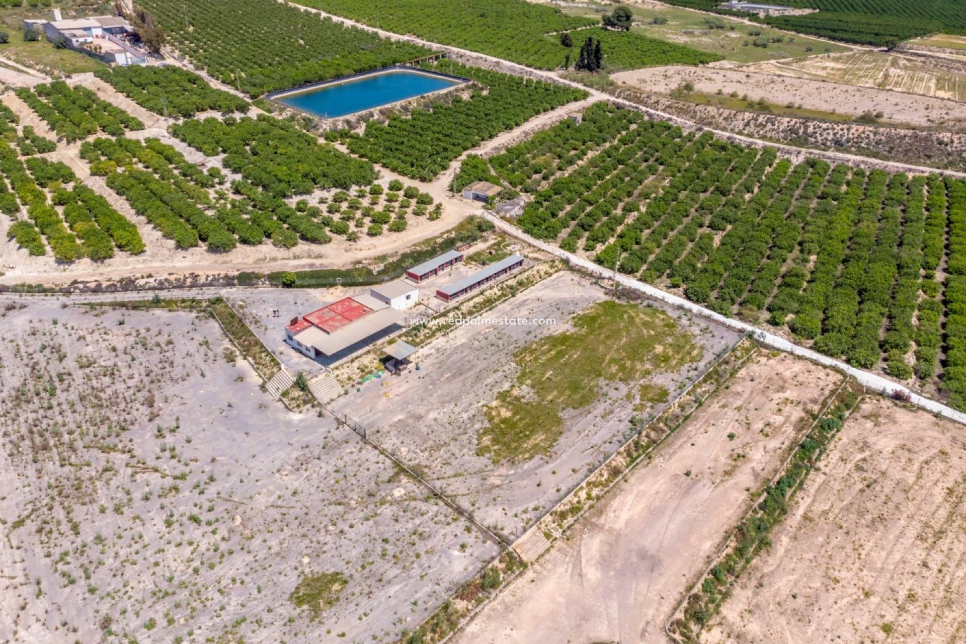 Reventa - Finca / Propiedad de Campo -
Montesinos - Los Montesinos