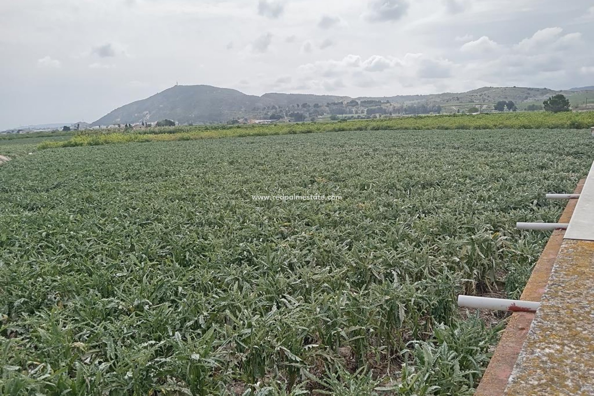 Reventa - Finca / Propiedad de Campo -
Orihuela Costa - BUENA VIDA DESAMPARADOS