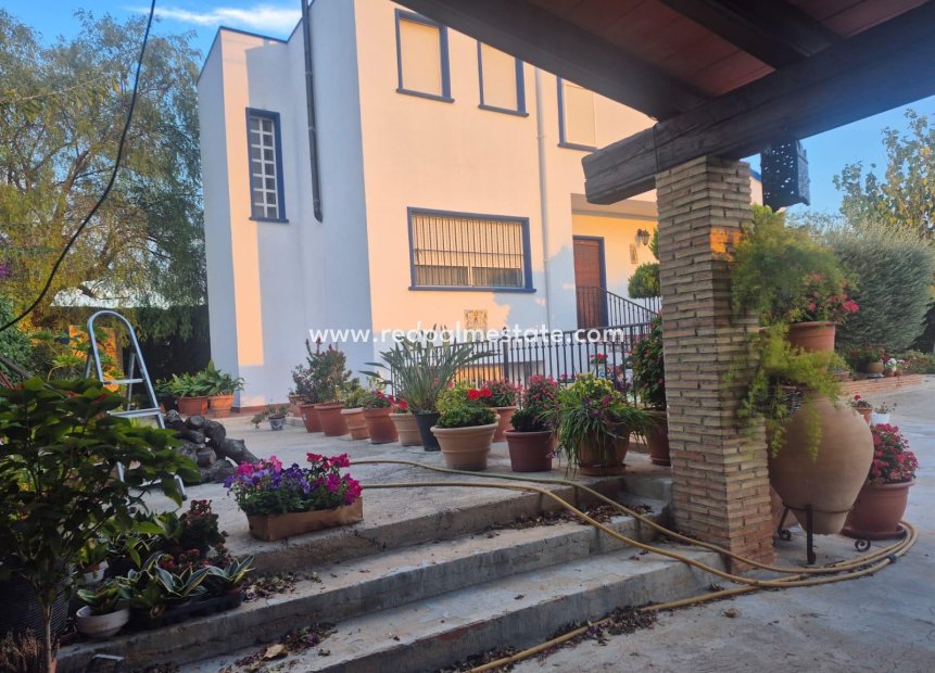 Reventa - Finca / Propiedad de Campo -
Orihuela Costa - Casco Histórico