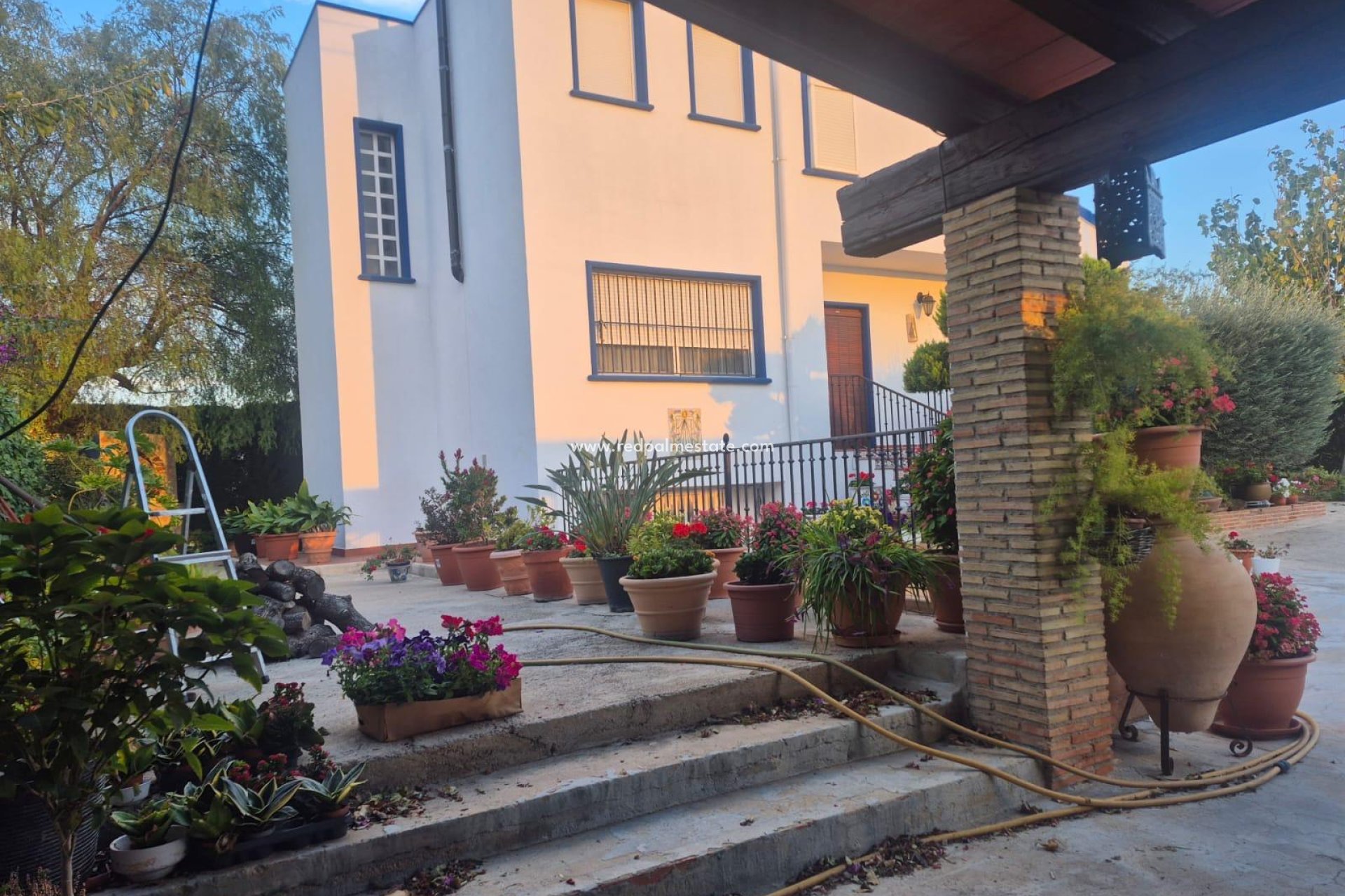 Reventa - Finca / Propiedad de Campo -
Orihuela Costa - Casco Histórico