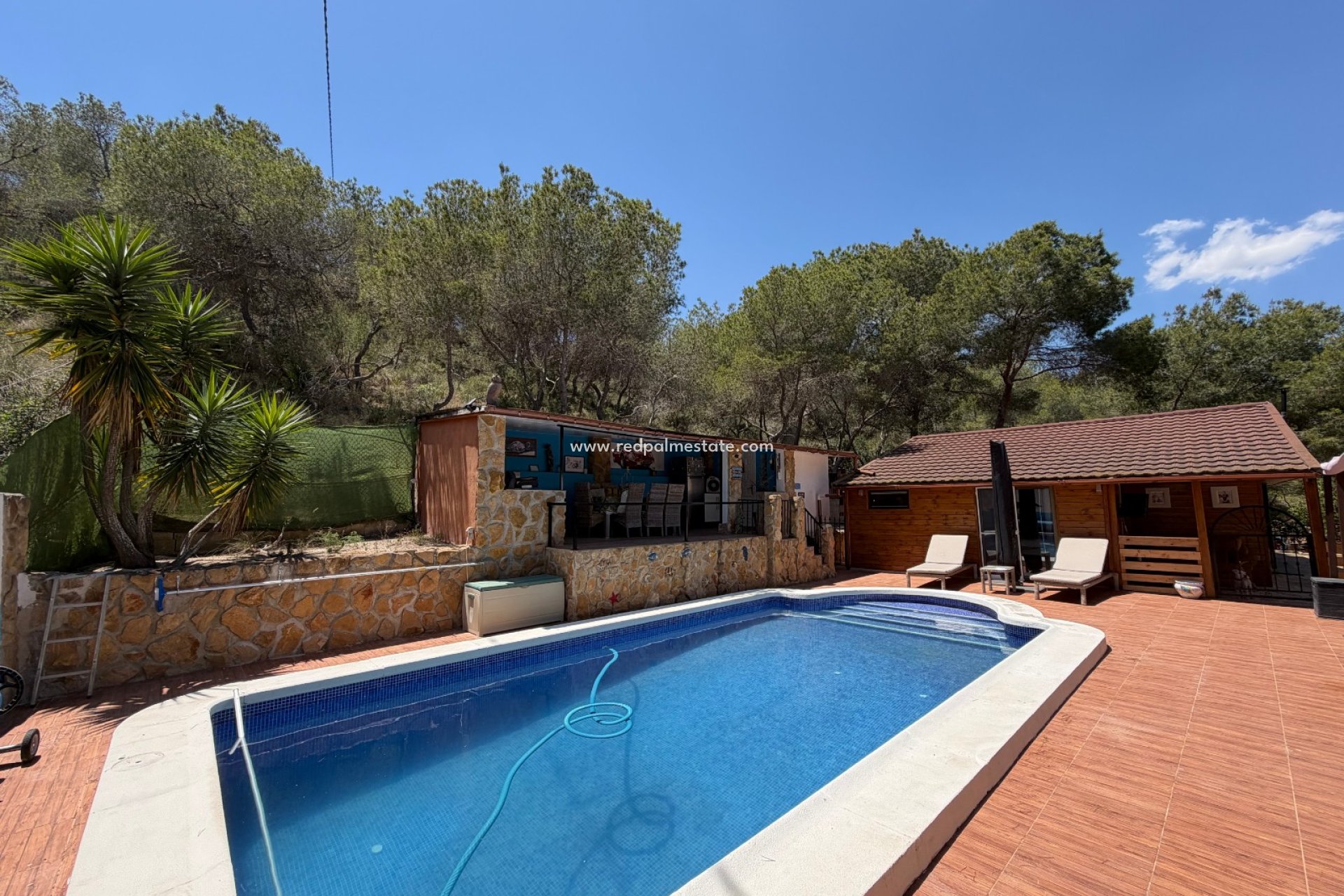 Reventa - Finca / Propiedad de Campo -
Orihuela Costa - Inland