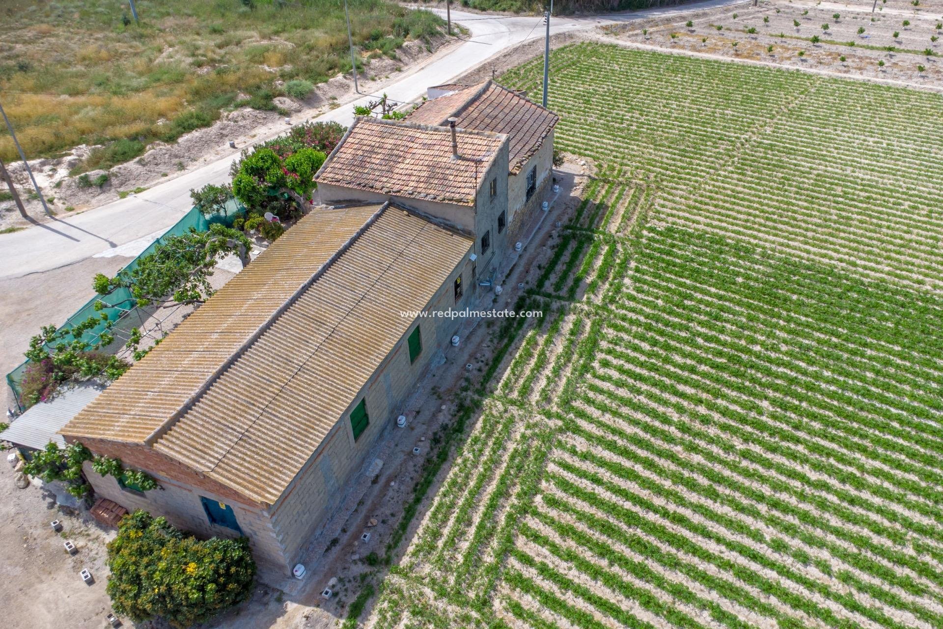 Reventa - Finca / Propiedad de Campo -
Orihuela Costa - Torremendo