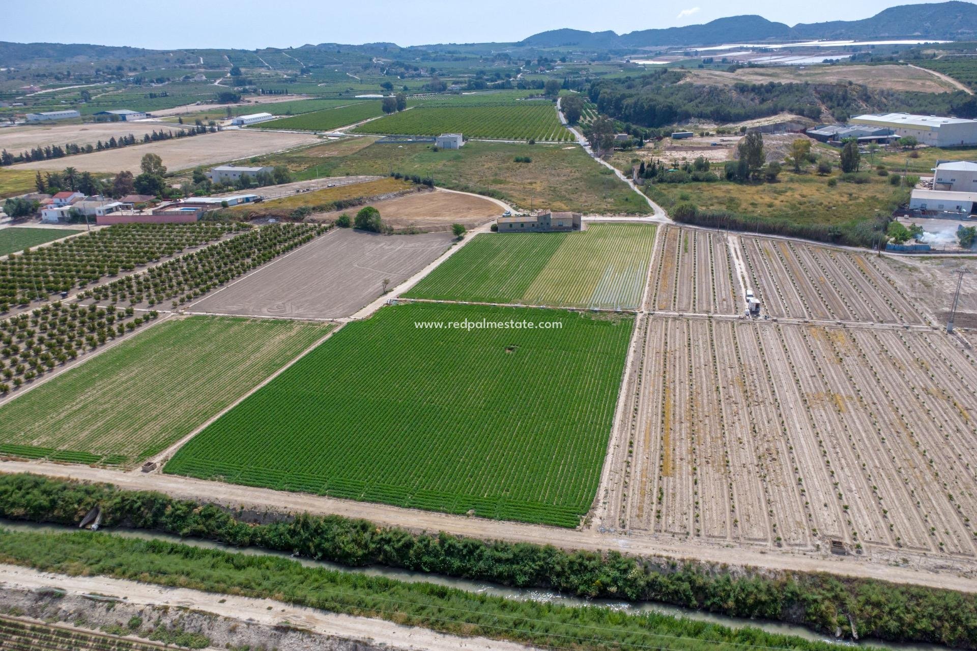 Reventa - Finca / Propiedad de Campo -
Orihuela Costa - Torremendo