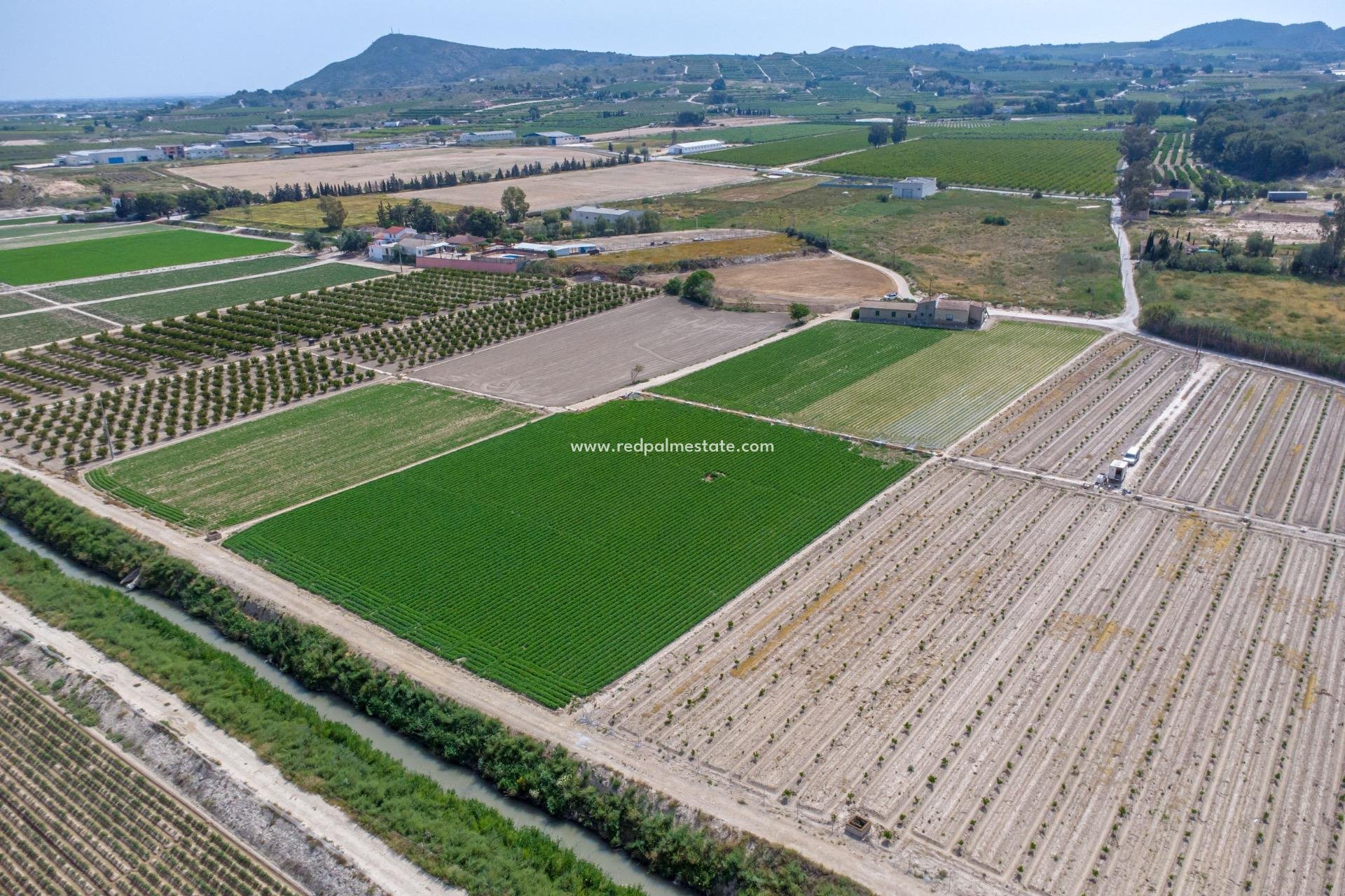 Reventa - Finca / Propiedad de Campo -
Orihuela Costa - Torremendo