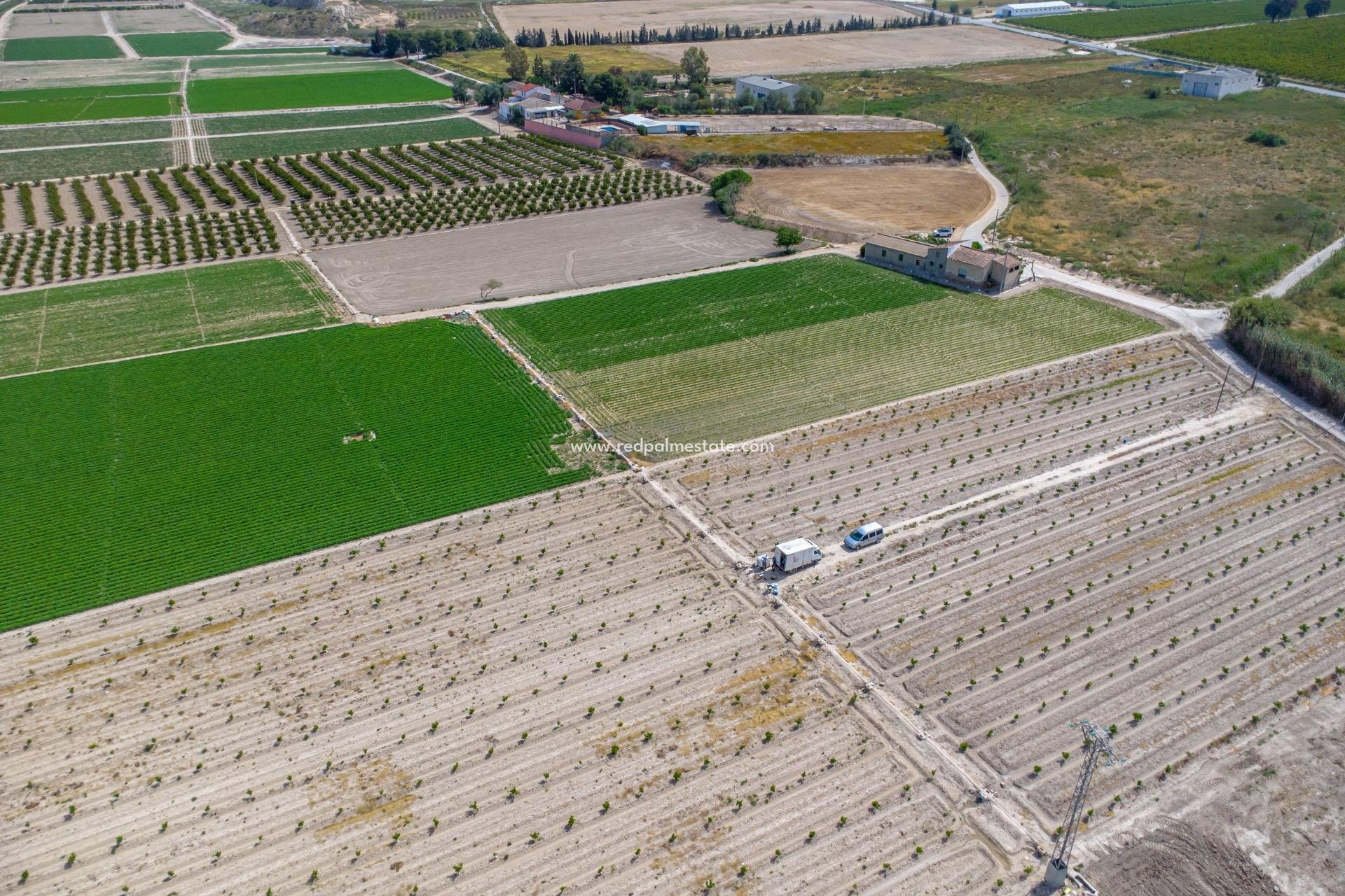 Reventa - Finca / Propiedad de Campo -
Orihuela Costa - Torremendo