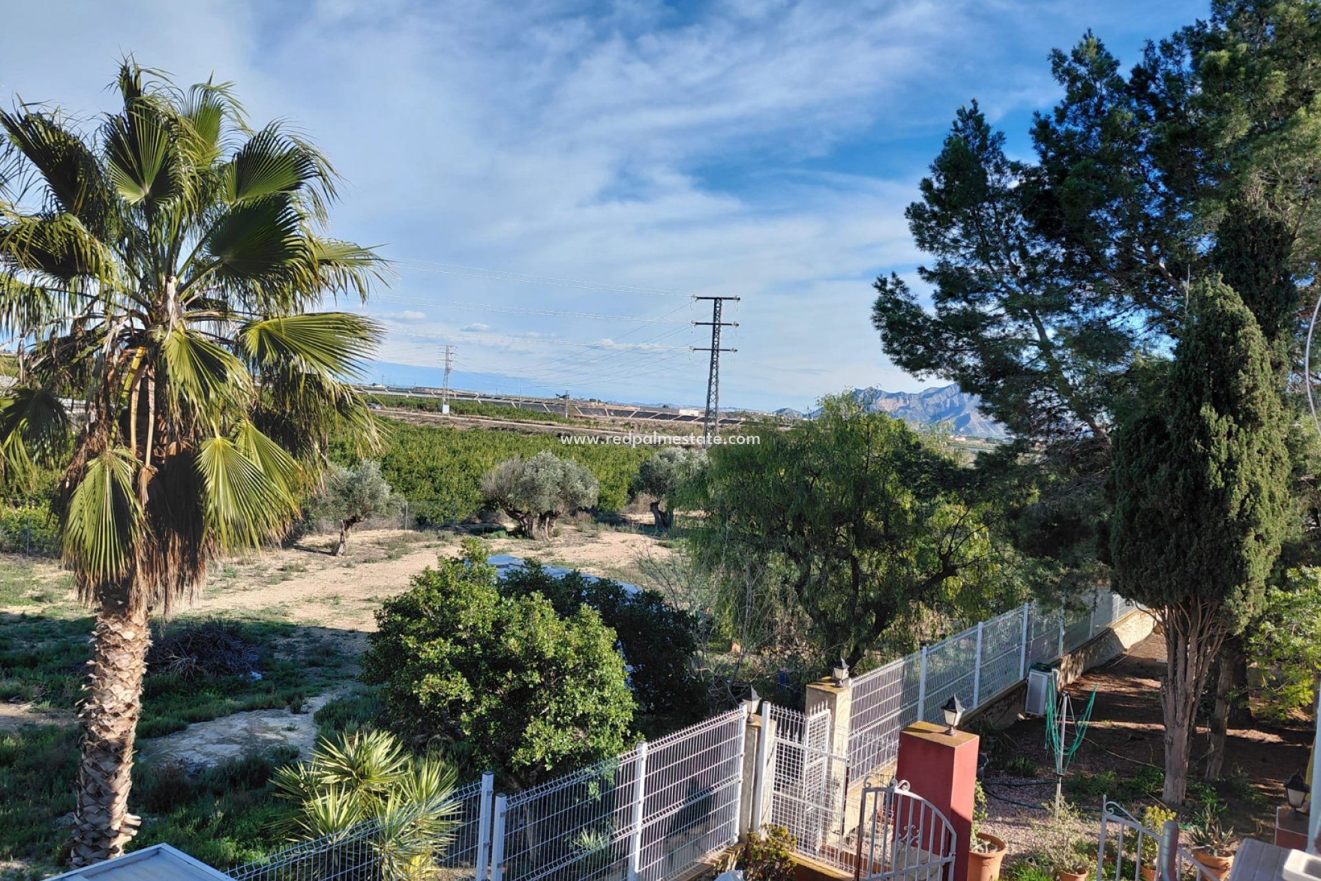 Reventa - Finca / Propiedad de Campo -
Orihuela - Inland