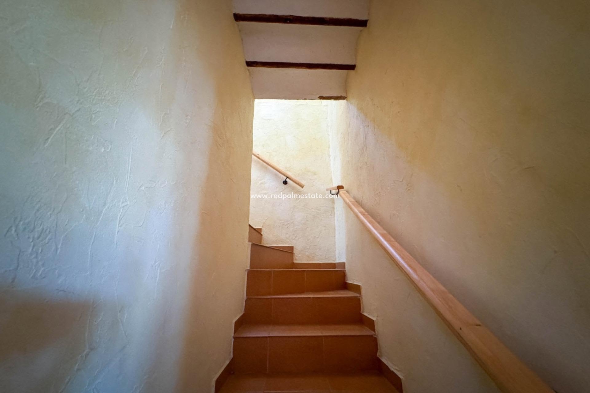 Reventa - Finca / Propiedad de Campo -
Orihuela - Inland