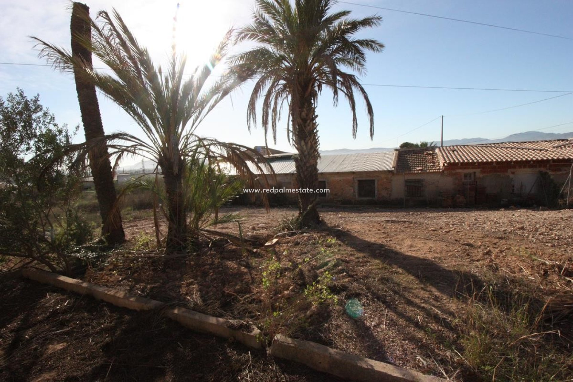 Reventa - Finca / Propiedad de Campo -
Orihuela - Inland