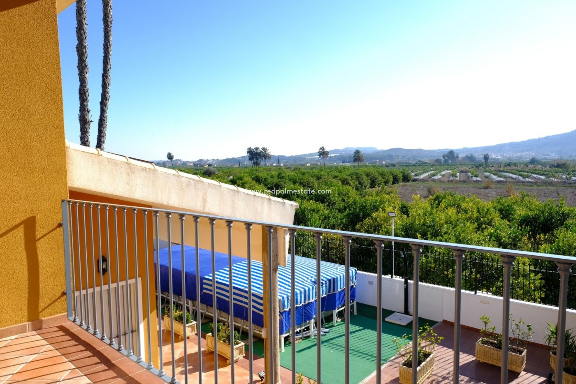Reventa - Finca / Propiedad de Campo -
Orihuela - Inland